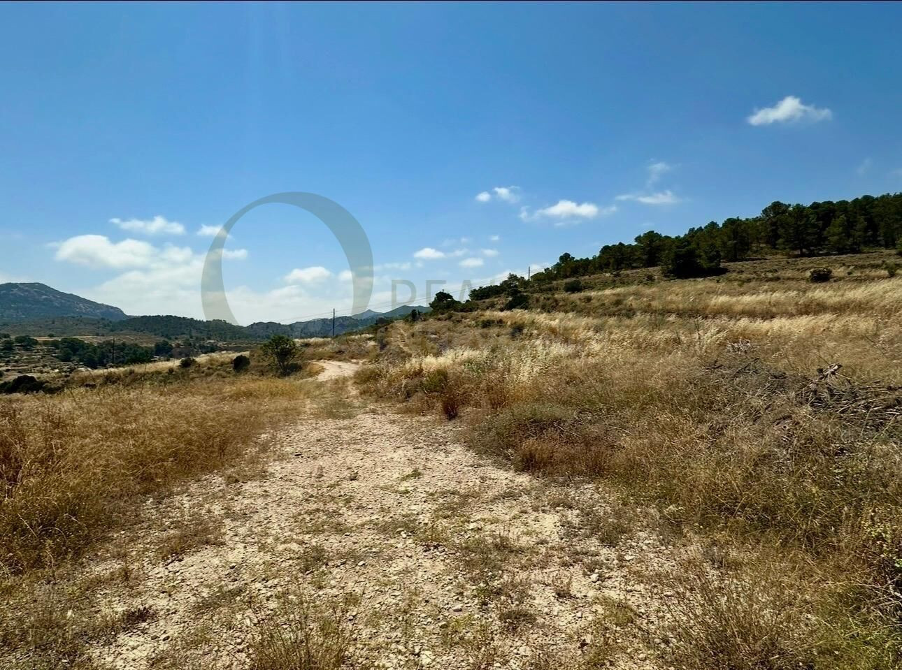 Parcela rústica de 66.331 m2 en Tibi. - foto 2