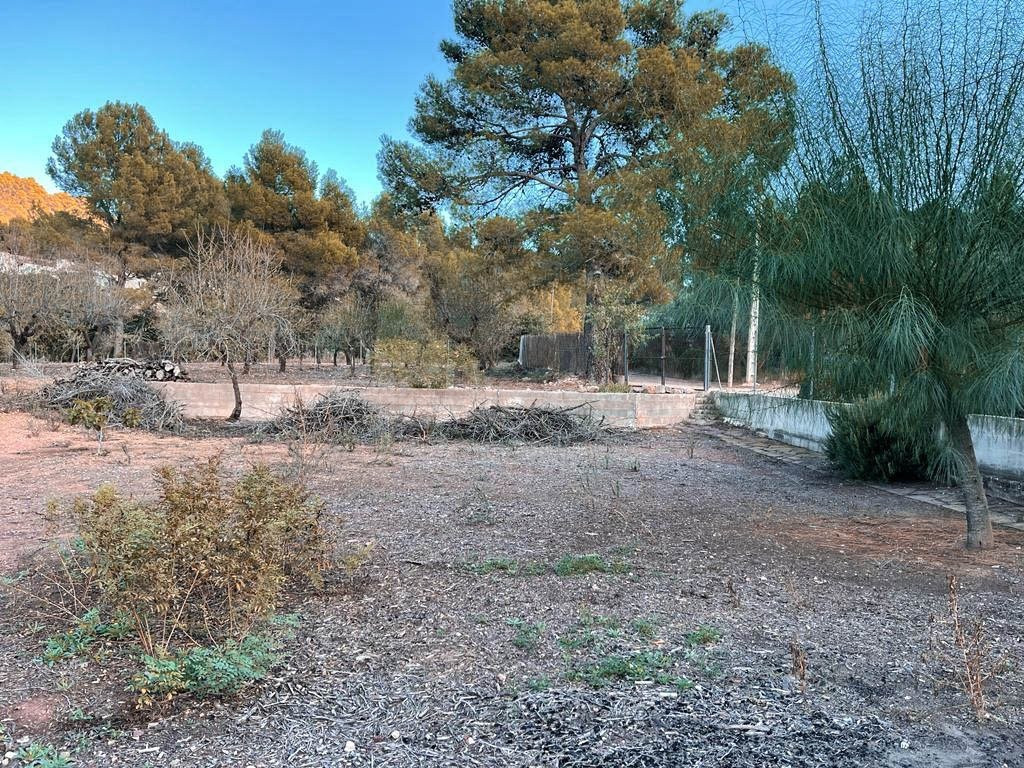 Se venden dos terrenos urbanos en Náquera - foto 3