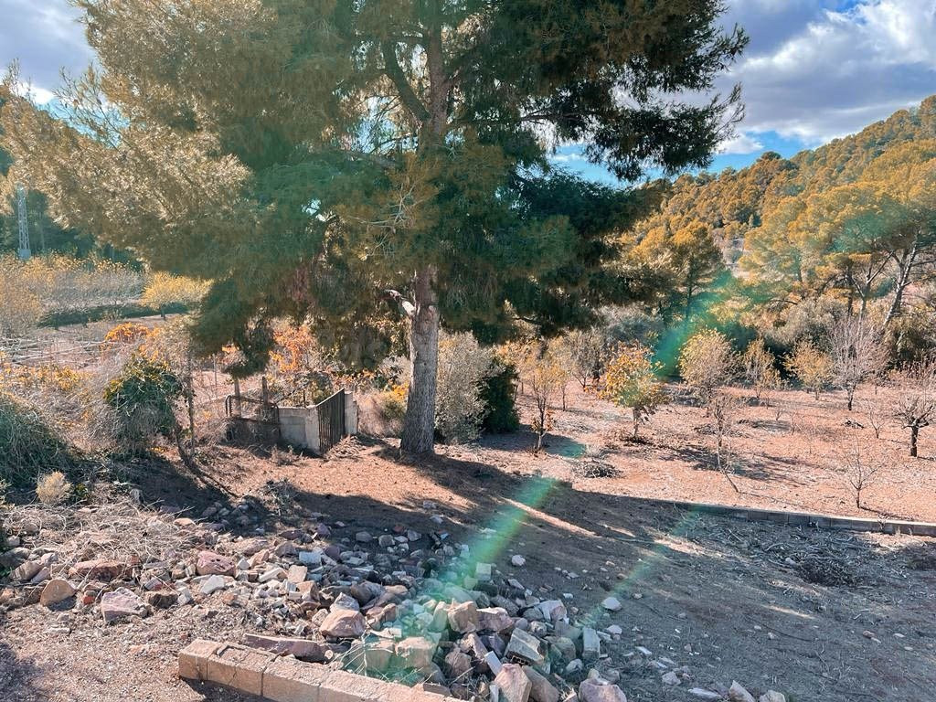 Se venden dos terrenos urbanos en Náquera - foto 5