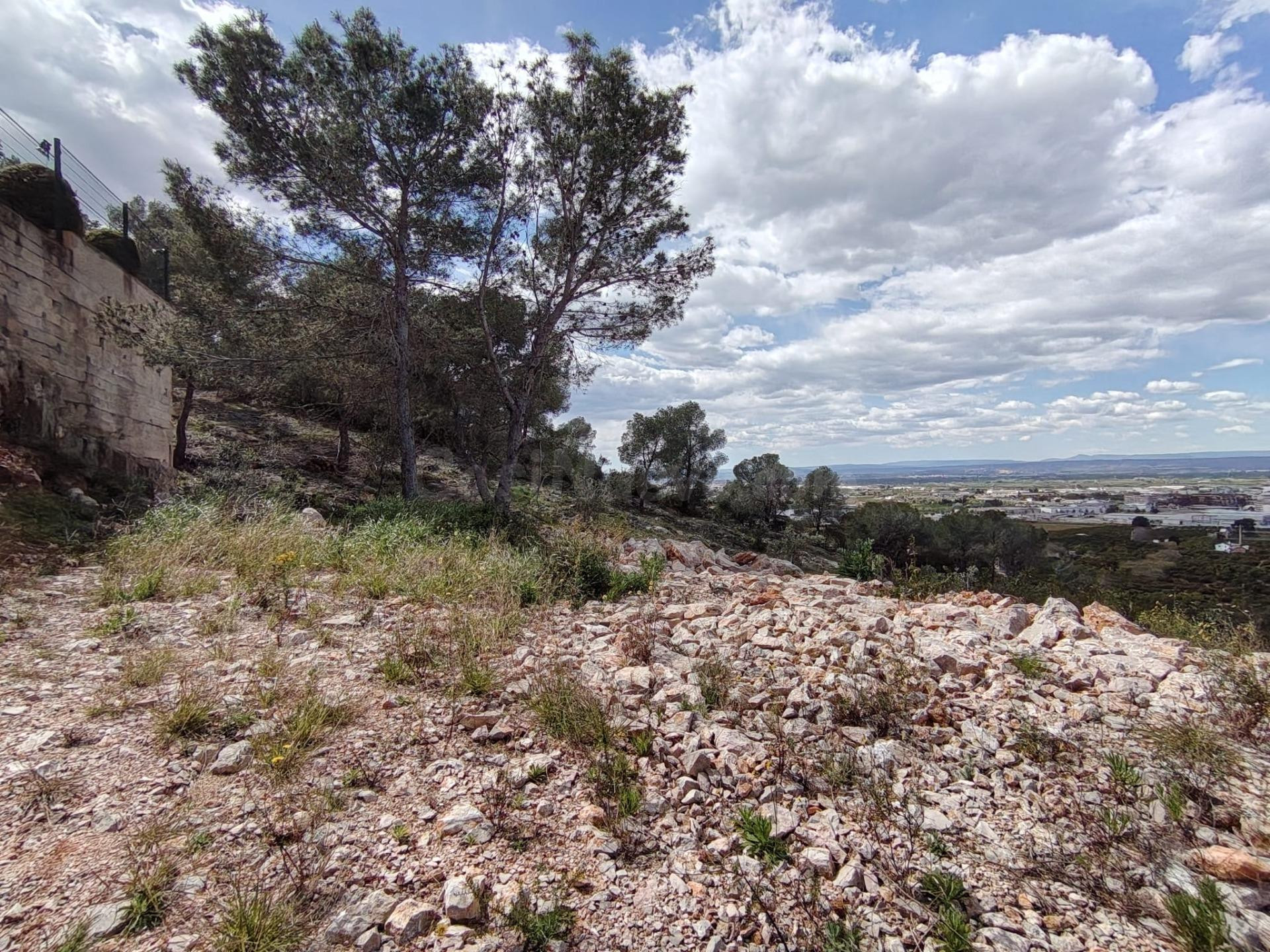 PARCELA EN URBANIZACIÓN EL RACO - foto 4