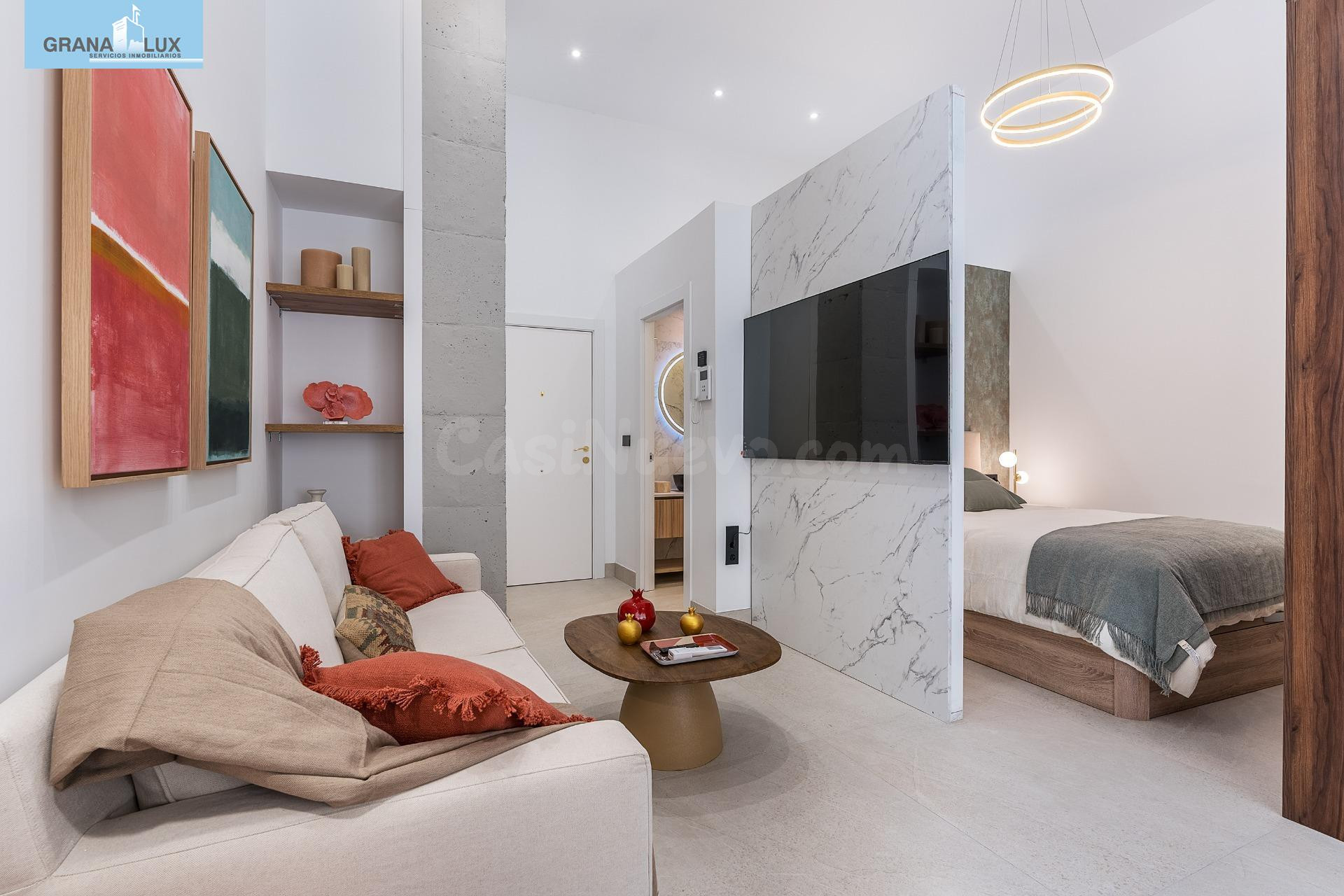 PRECIOSO ESTUDIO DE LUJO EN URBANIZACION TRIUNFO JARDIN - foto 4