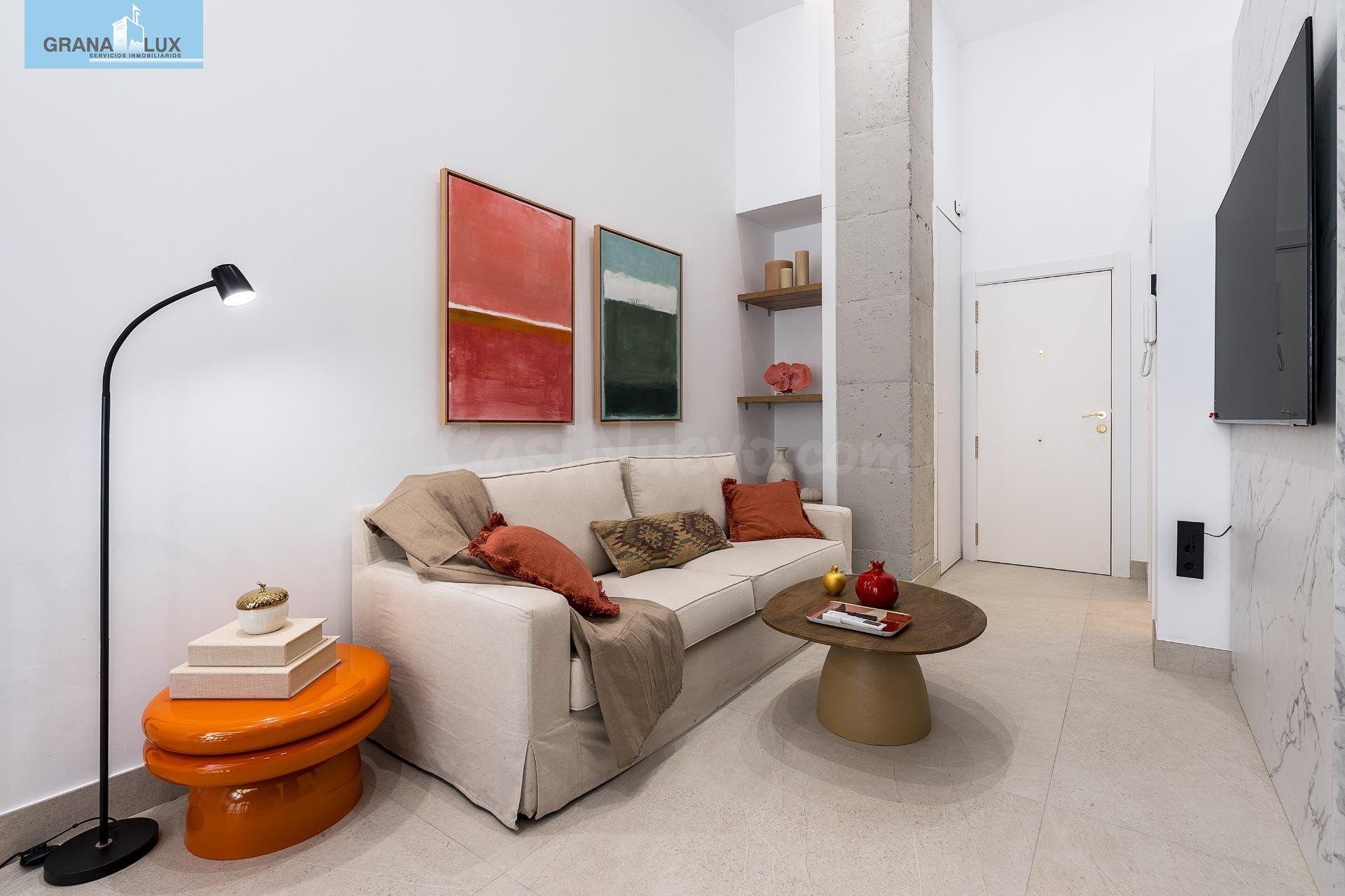 PRECIOSO ESTUDIO DE LUJO EN URBANIZACION TRIUNFO JARDIN - foto 5