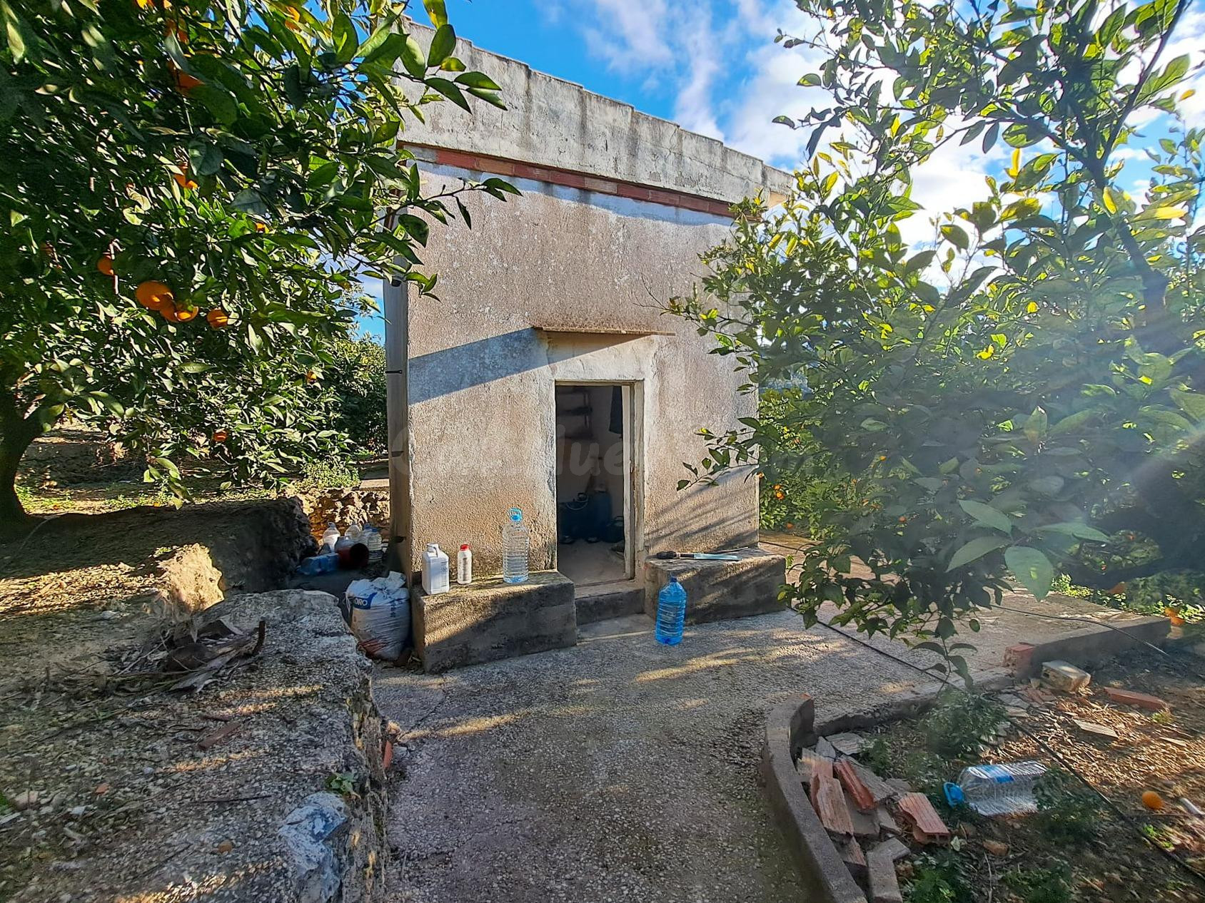 Parcela con piscina y pequeña caseta - foto 4