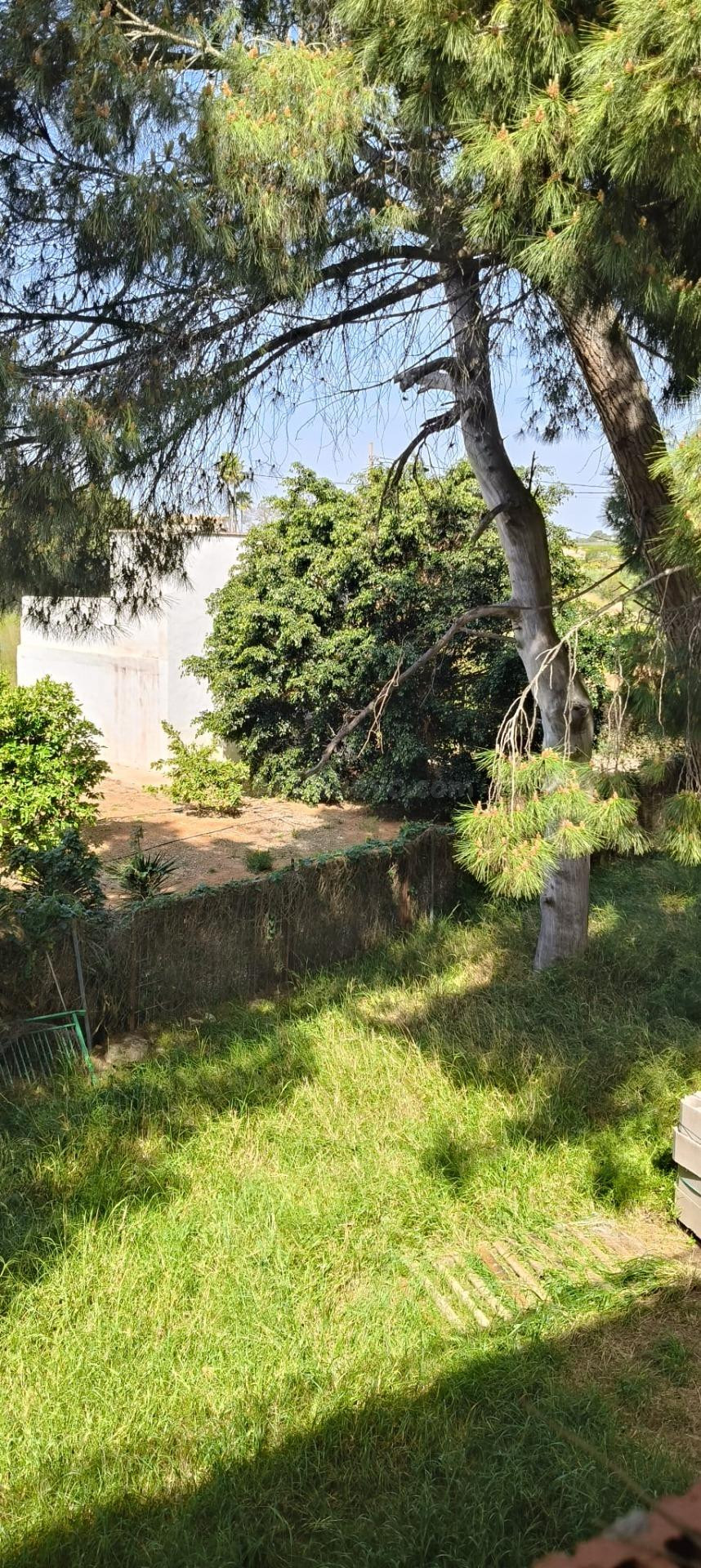 Chalet ubicado en Urb El Realón - foto 2