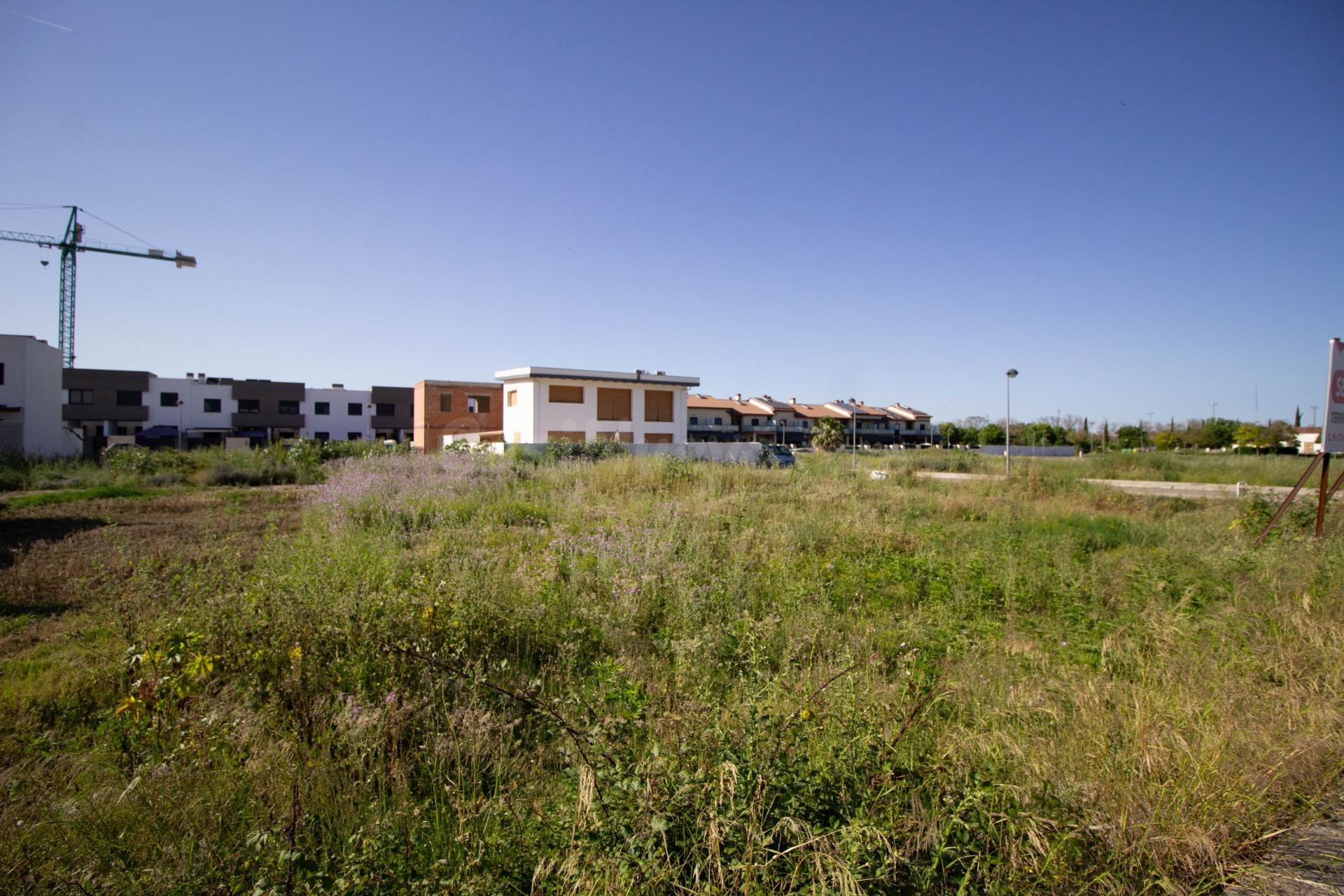 VENTA DE TERRENO URBANO - foto 3