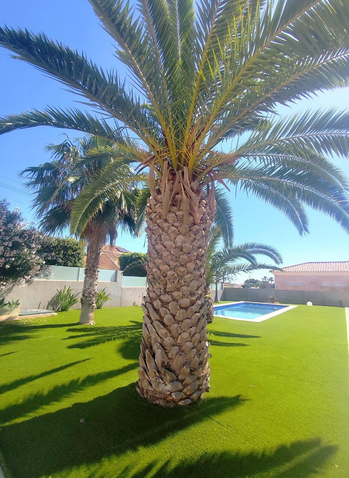 CHALET DE LUJO EN LOMAS DE CANTERAS - foto 5