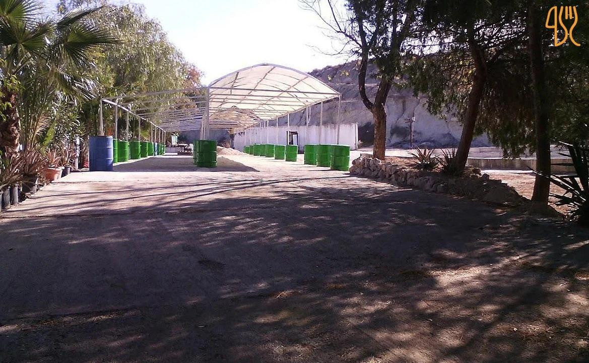 Oportunidad única de inversión entre Murcia y Molina - foto 2