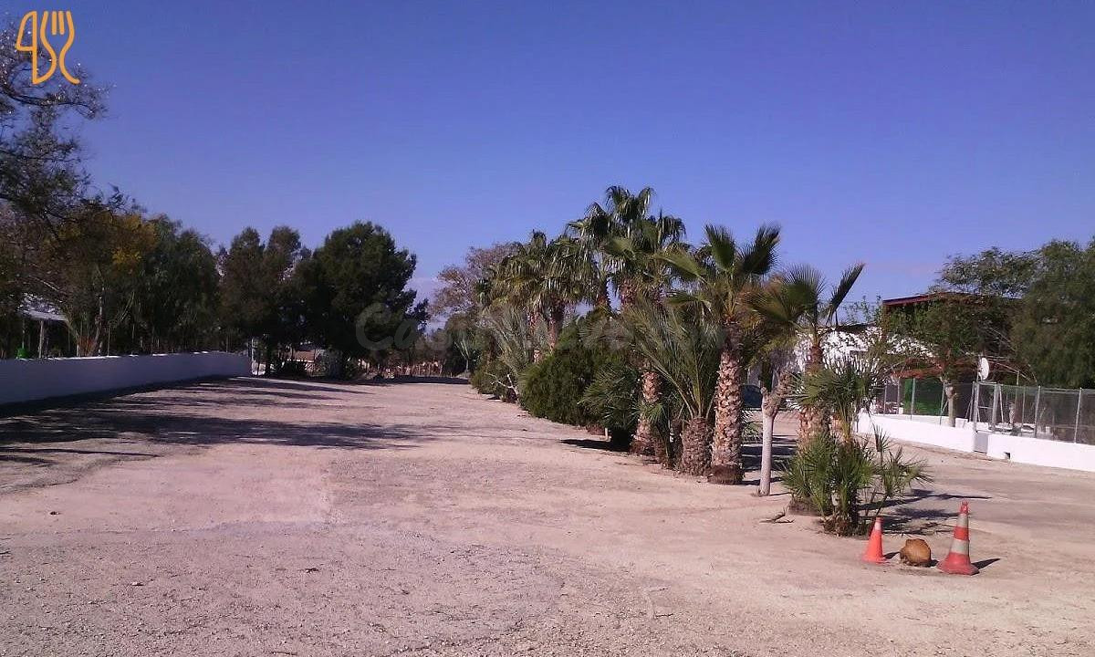 Oportunidad única de inversión entre Murcia y Molina - foto 3