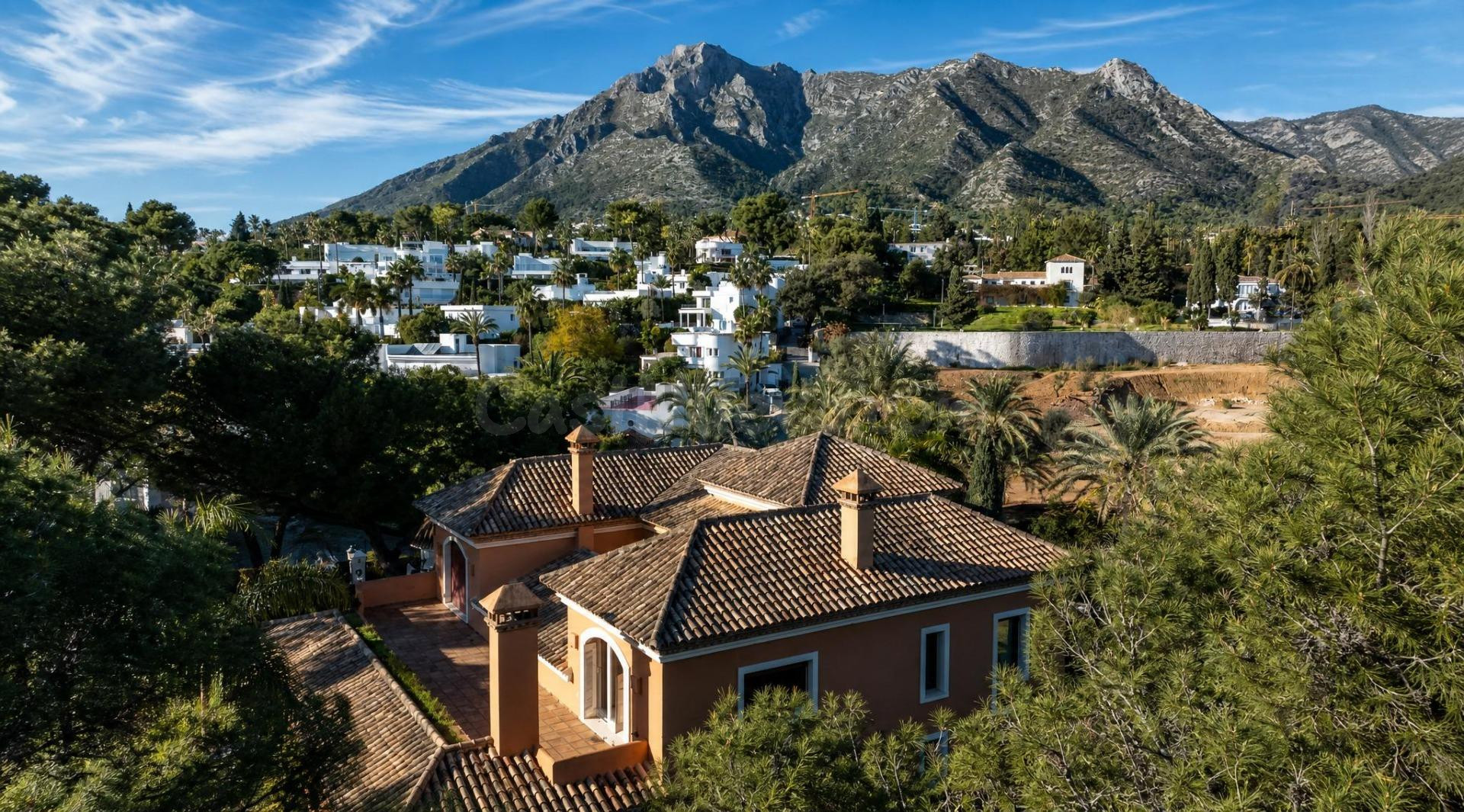 ARCHITECTURAL MASTERPIECE IN ALTOS REALES - foto 5