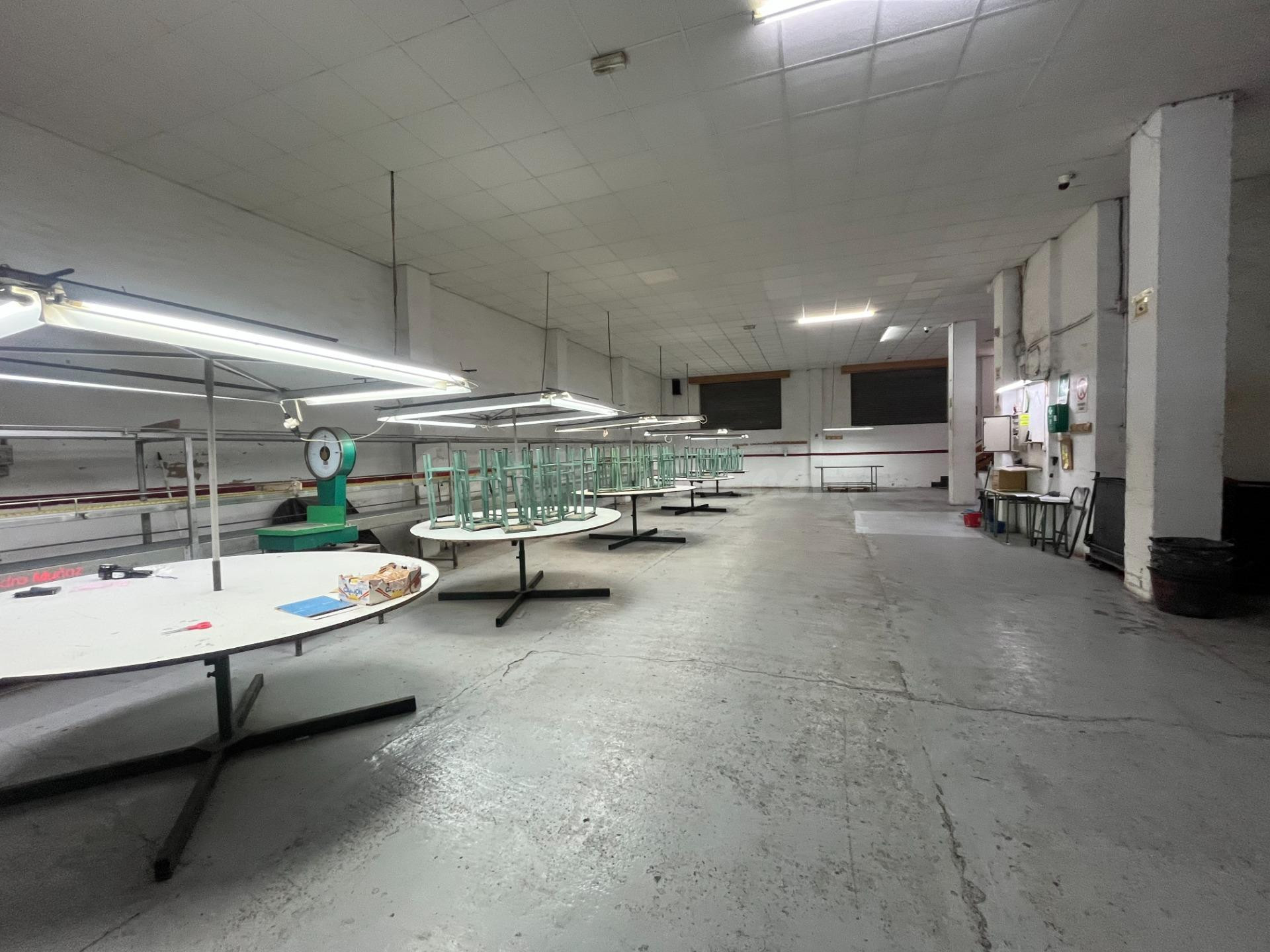 OPORTUNIDAD UNICA: LOCAL AMPLIO EN ESQUINA, ubicación PREMIUM NOVELDA - foto 4