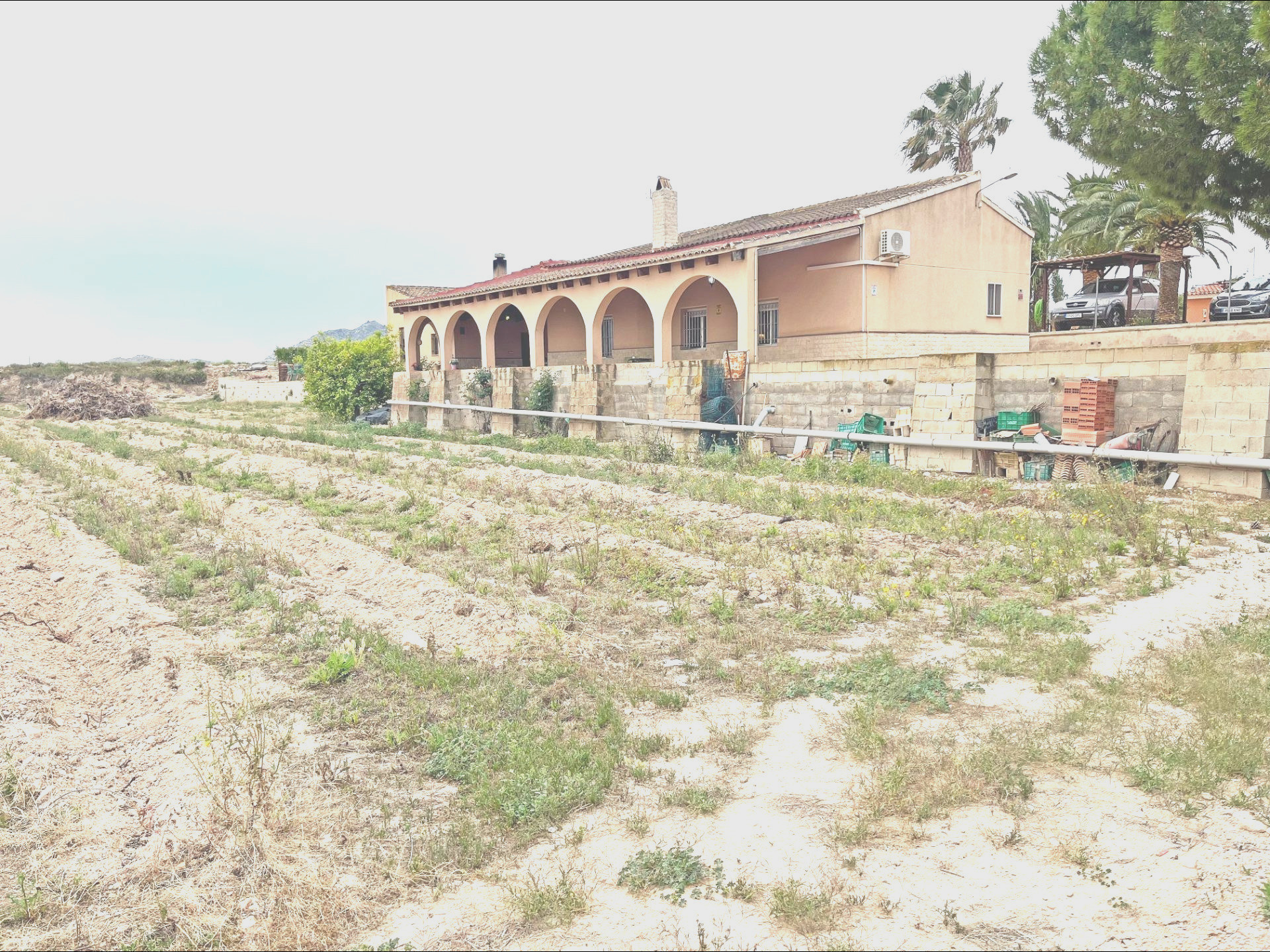 CASA RUSTICA CON 10.000 METROS DE TERRENO EN NOVELDA - foto 3