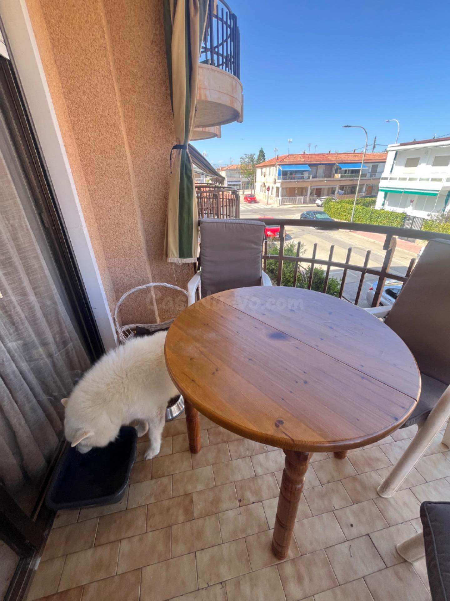 APARTAMENTO EN SANTA POLA A UN PASO DEL MAR - foto 4