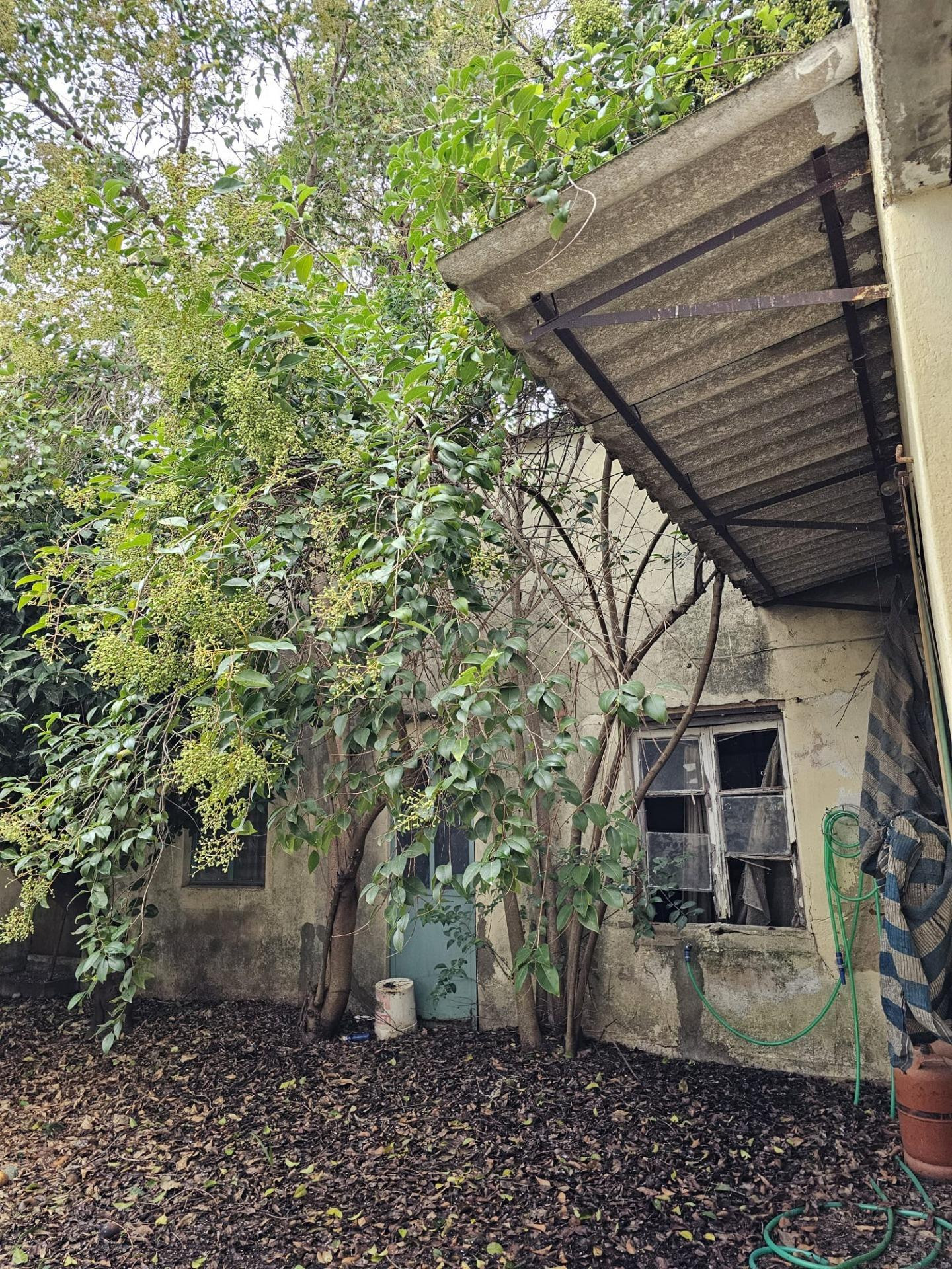 CASA/SOLAR PARA REHABILITAR/CONSTRUIR EN EL CENTRO DE VILLAN - foto 4