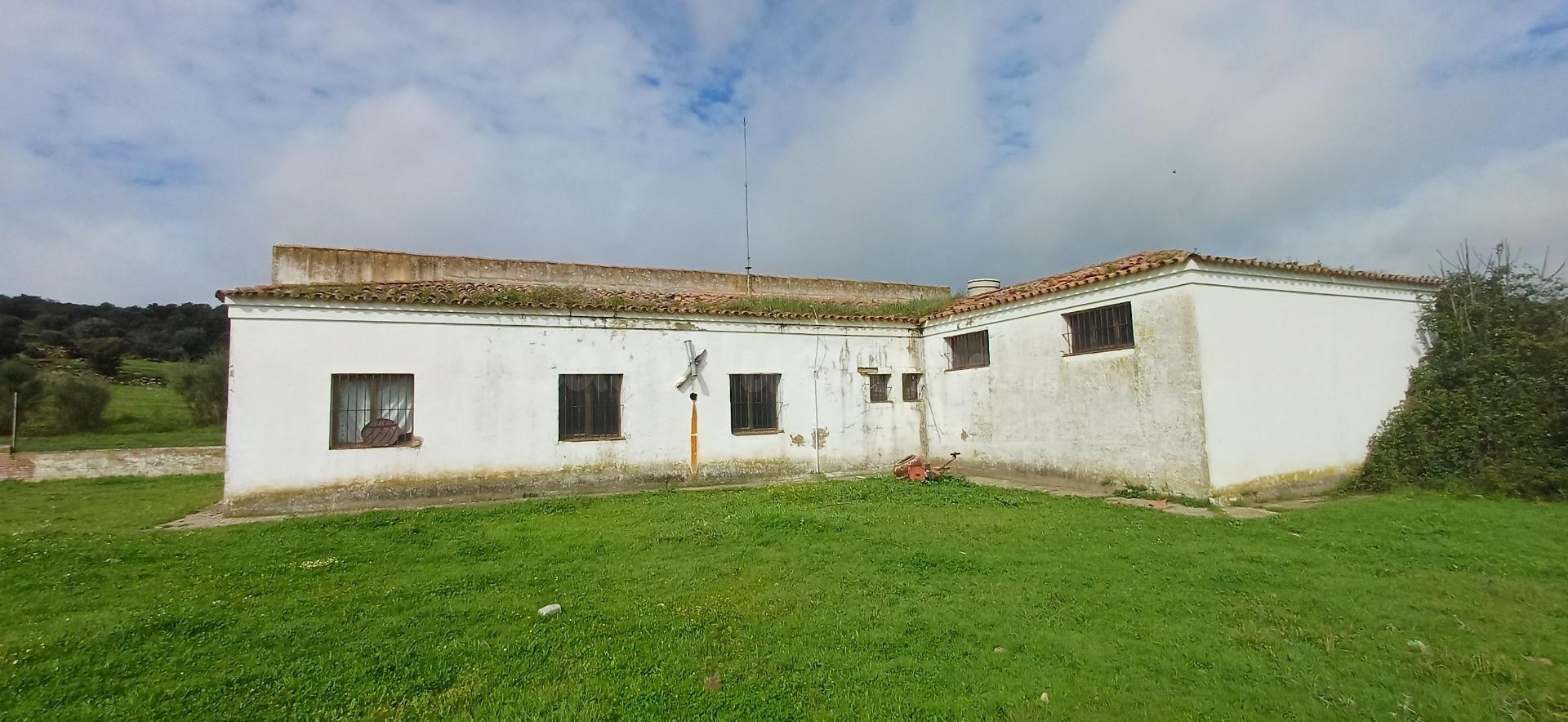FINCA RUSTICA JEREZ DE LOS CABALLEROS - foto 4