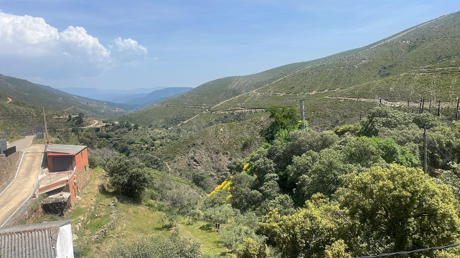 APARTAMENTO EN VENTA LADRILLAR (HURDES) - foto 2