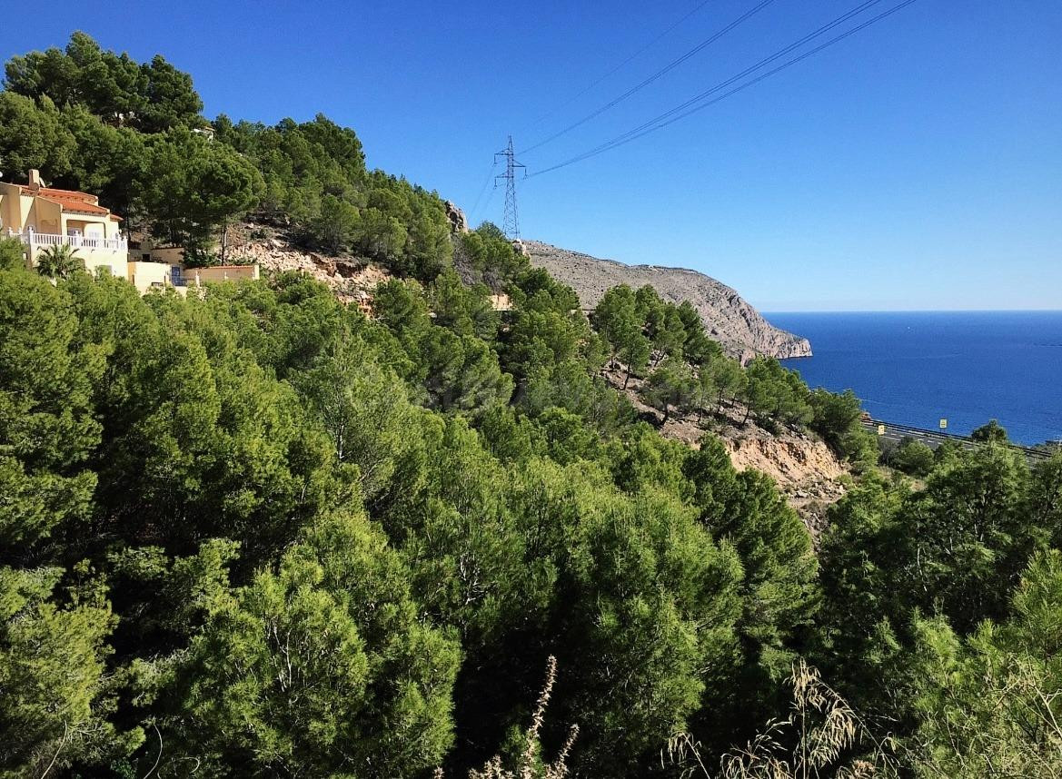 PARCELA URBANA CON LICENCIA DE OBRA CONCEDIDA EN ALTEA HILLS - foto 3