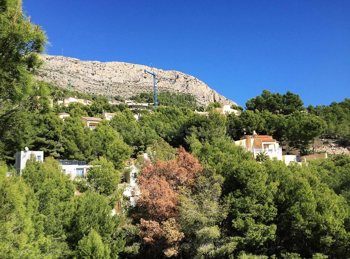 PARCELA URBANA CON LICENCIA DE OBRA CONCEDIDA EN ALTEA HILLS - foto 5