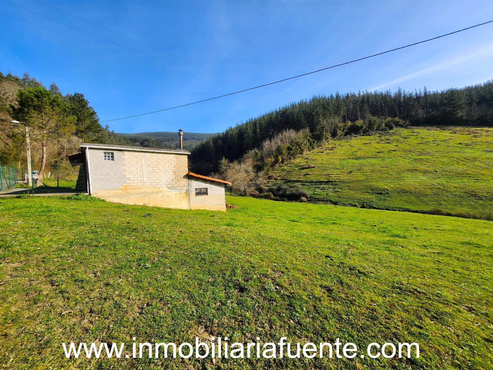 SE VENDE PABELLON CON TERRENO EN ARANGUREN, ZALLA - foto 3