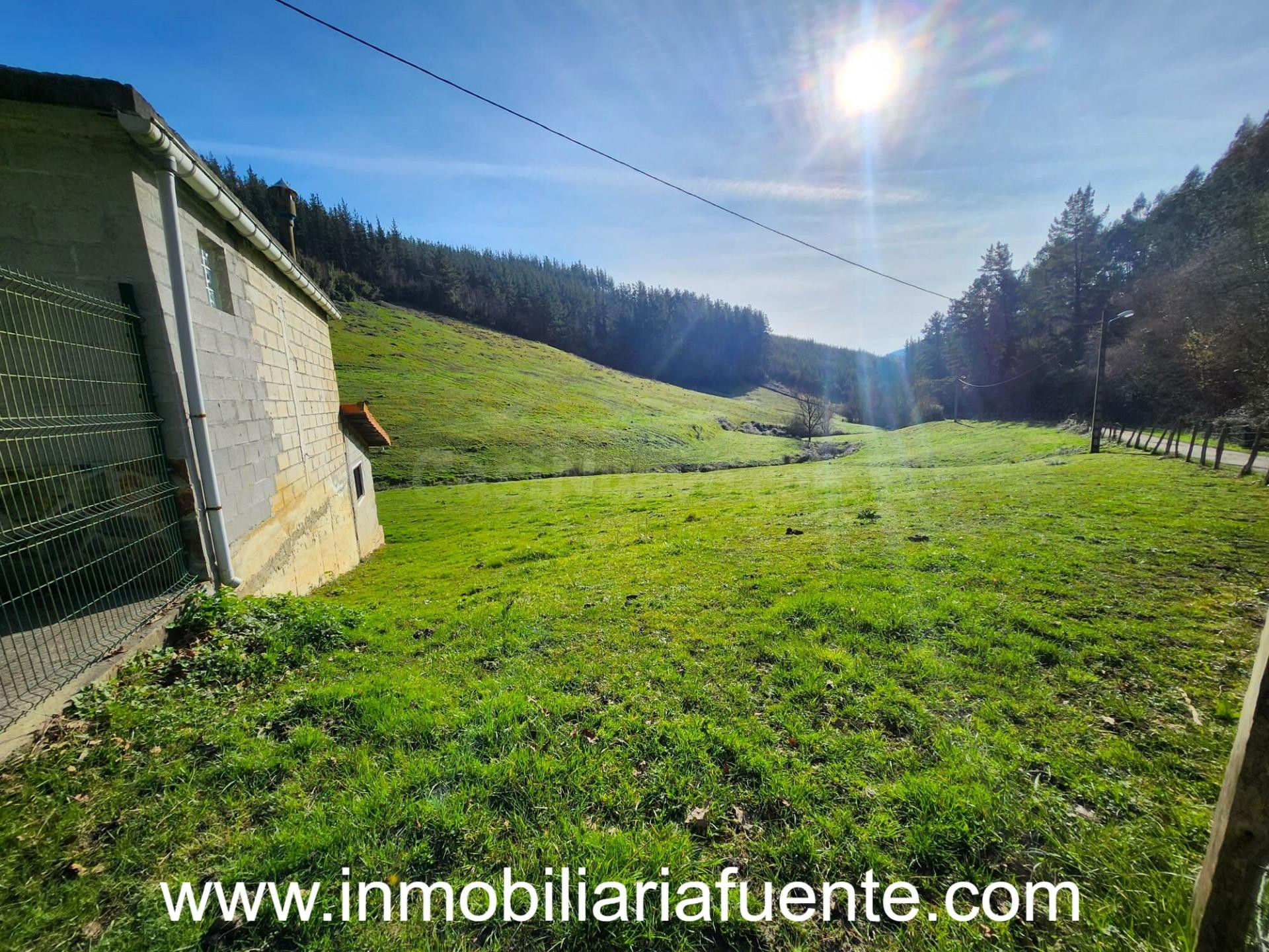 SE VENDE PABELLON CON TERRENO EN ARANGUREN, ZALLA - foto 5
