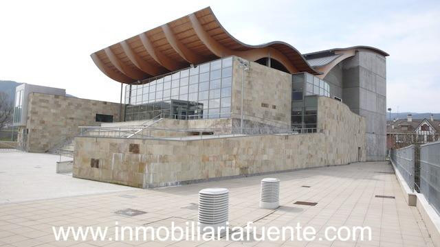 SE VENDE PARCELA DE GARAJE CERRADO EN ZALLA - foto 4