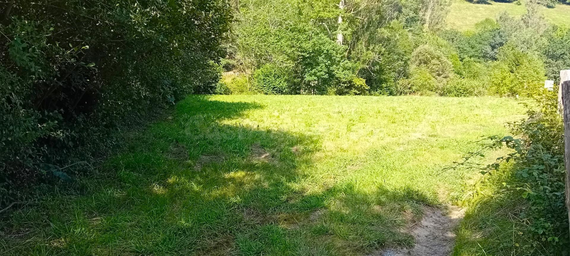 TERRENO EN GURIEZO, SE PUEDE HACER UNA VIVIENDA - foto 3