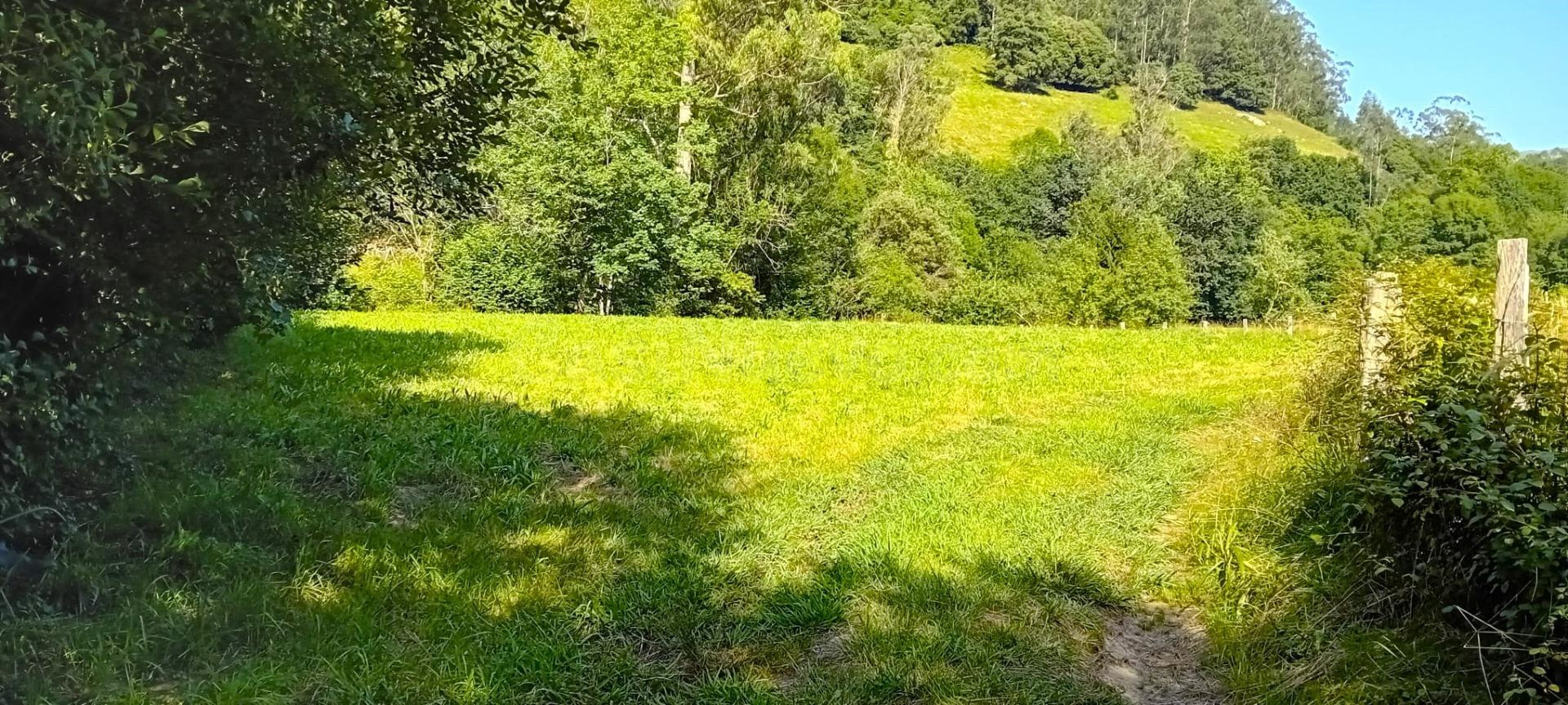 TERRENO EN GURIEZO, SE PUEDE HACER UNA VIVIENDA - foto 4