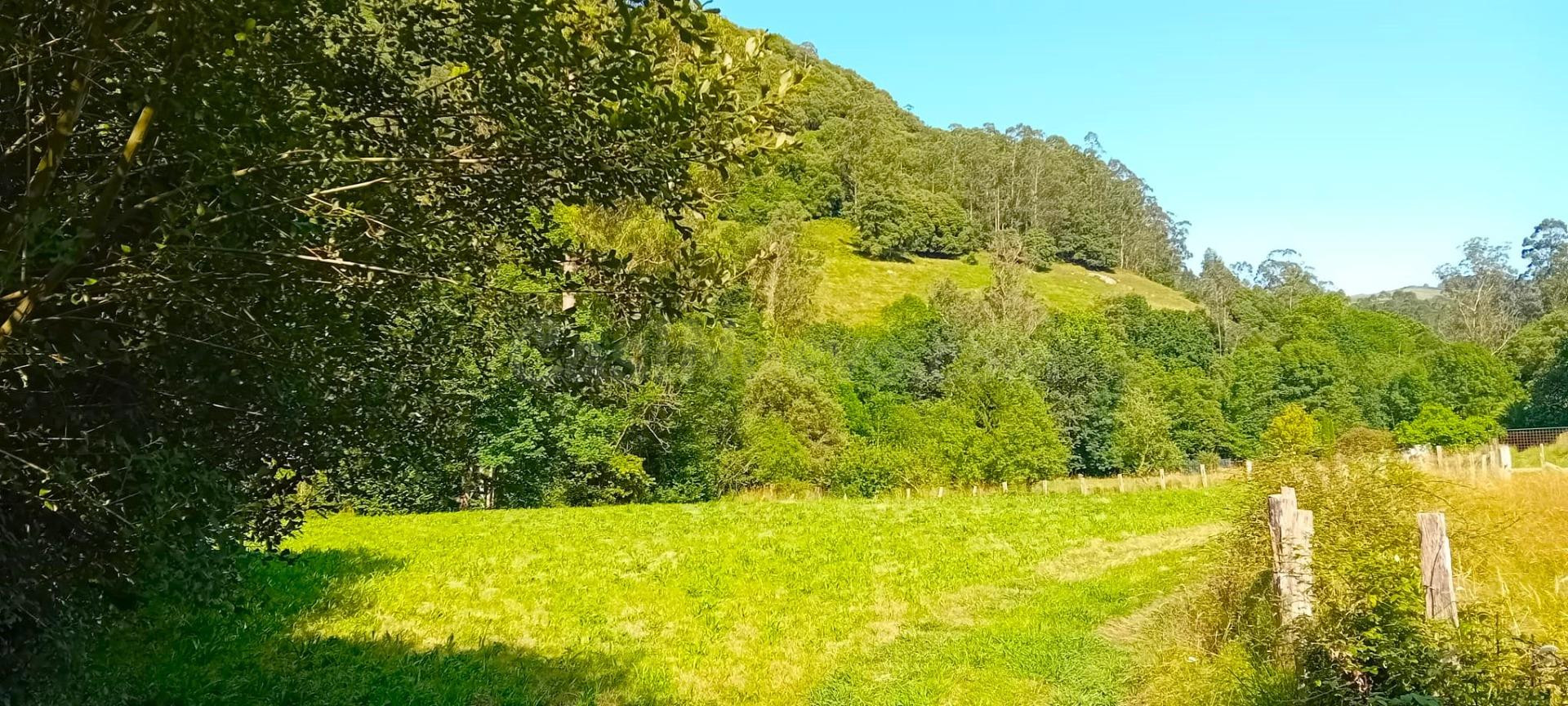 TERRENO EN GURIEZO, SE PUEDE HACER UNA VIVIENDA - foto 5