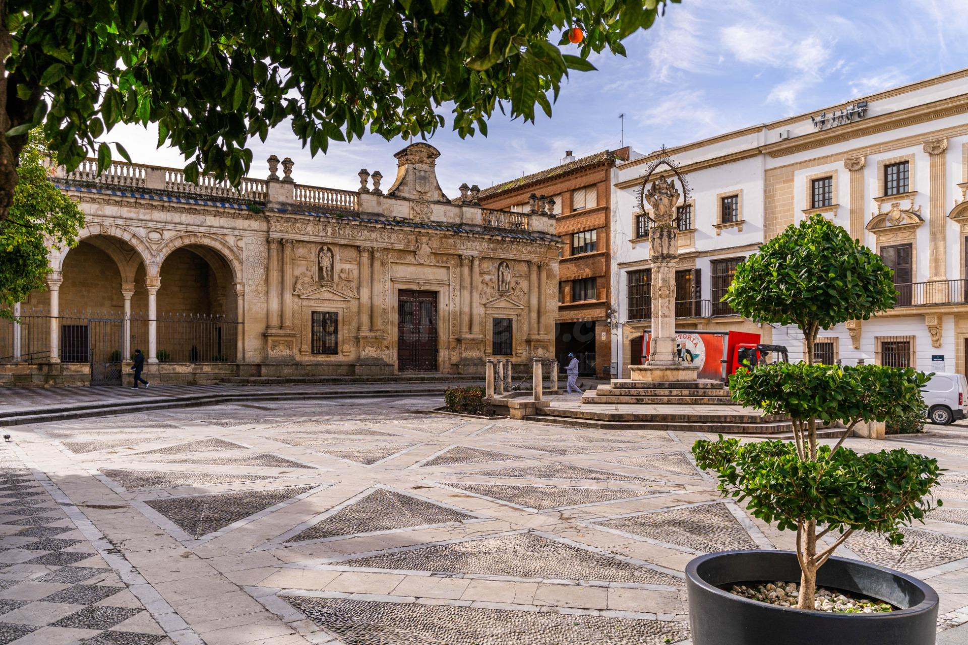 PISO EN EL CENTRO DE JEREZ: UBICACIÓN PERFECTA Y VISTAS QUE ENAMORAN - foto 3