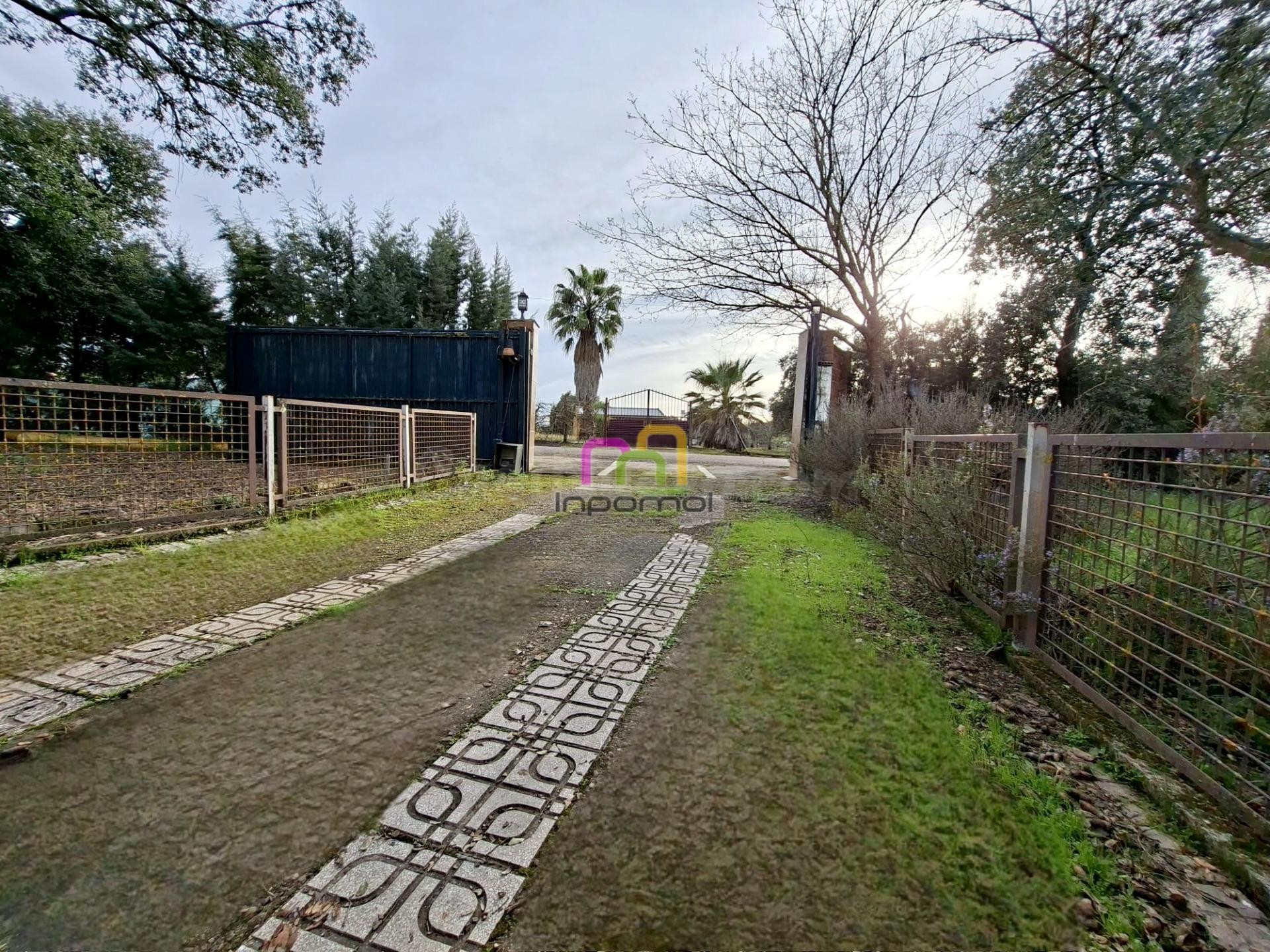 CASA CON TERRENO EN TRES ARROYOS, BADAJOZ - OPORTUNIDAD ÚNICA - foto 3