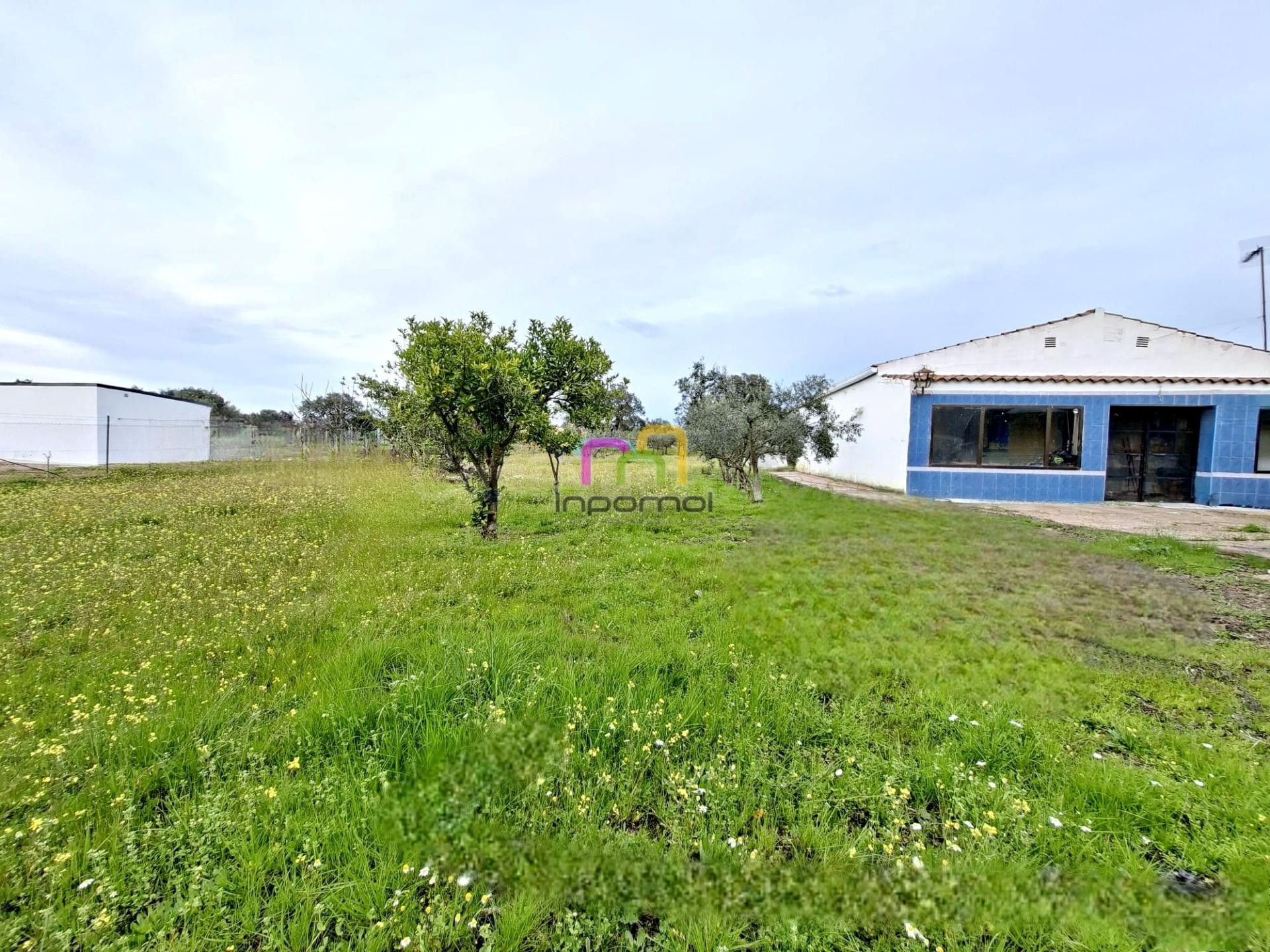 CASA CON TERRENO EN TRES ARROYOS, BADAJOZ - OPORTUNIDAD ÚNICA - foto 4