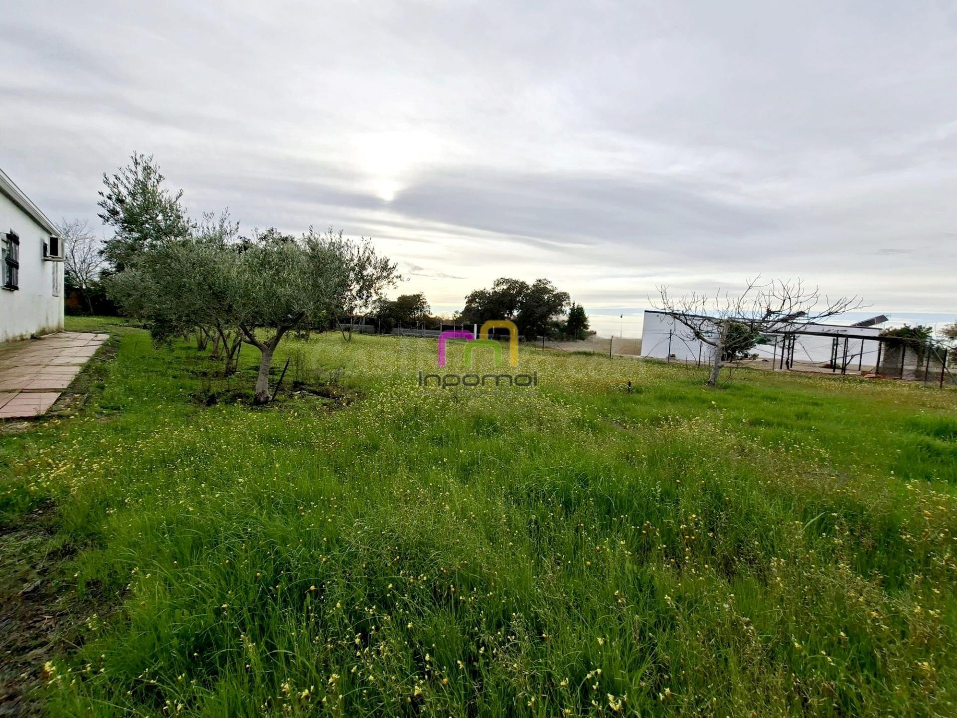 CASA CON TERRENO EN TRES ARROYOS, BADAJOZ - OPORTUNIDAD ÚNICA - foto 5