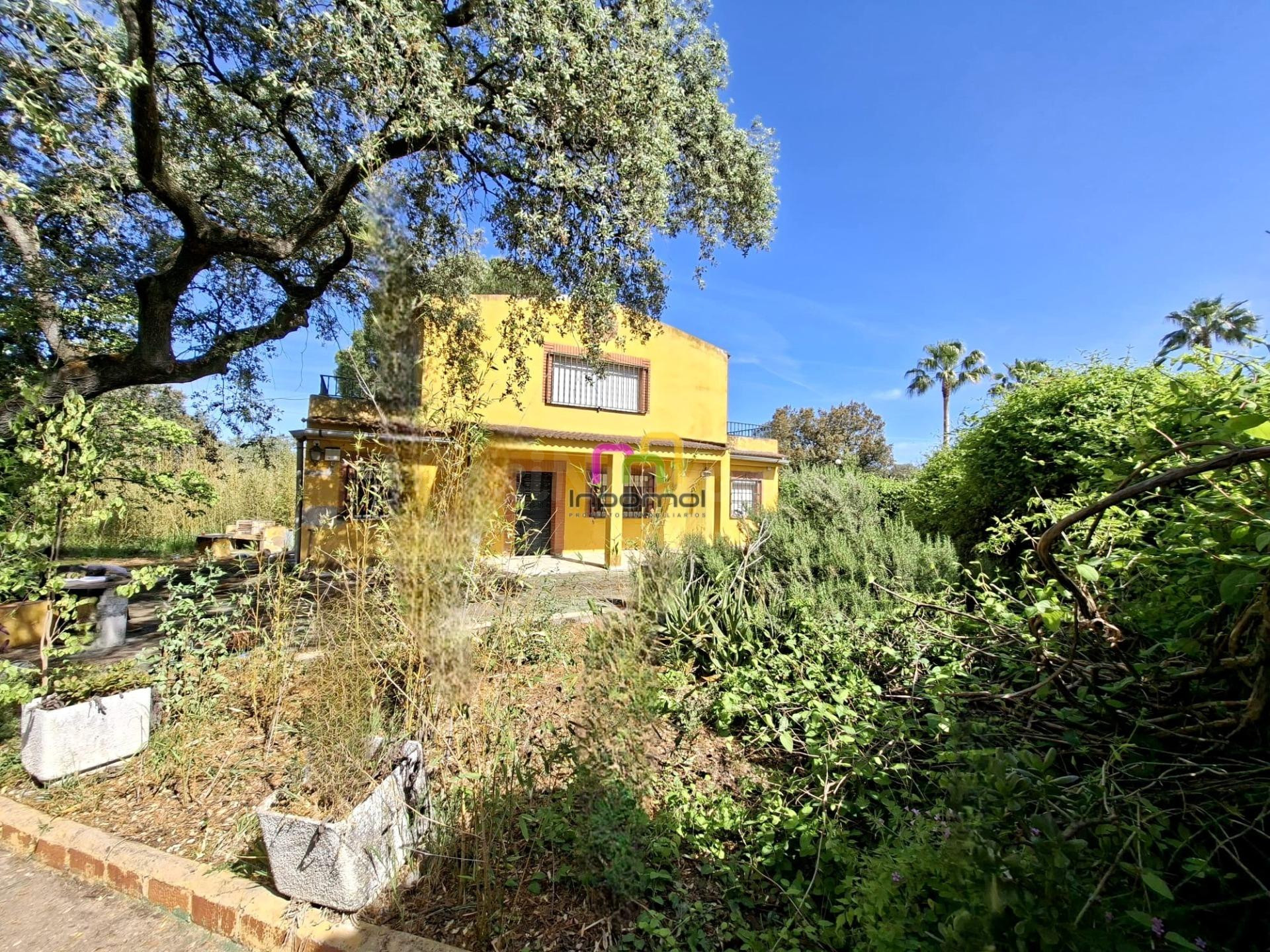 ENCANTADORA PARCELA CON CASA EN BADAJOZ - foto 5