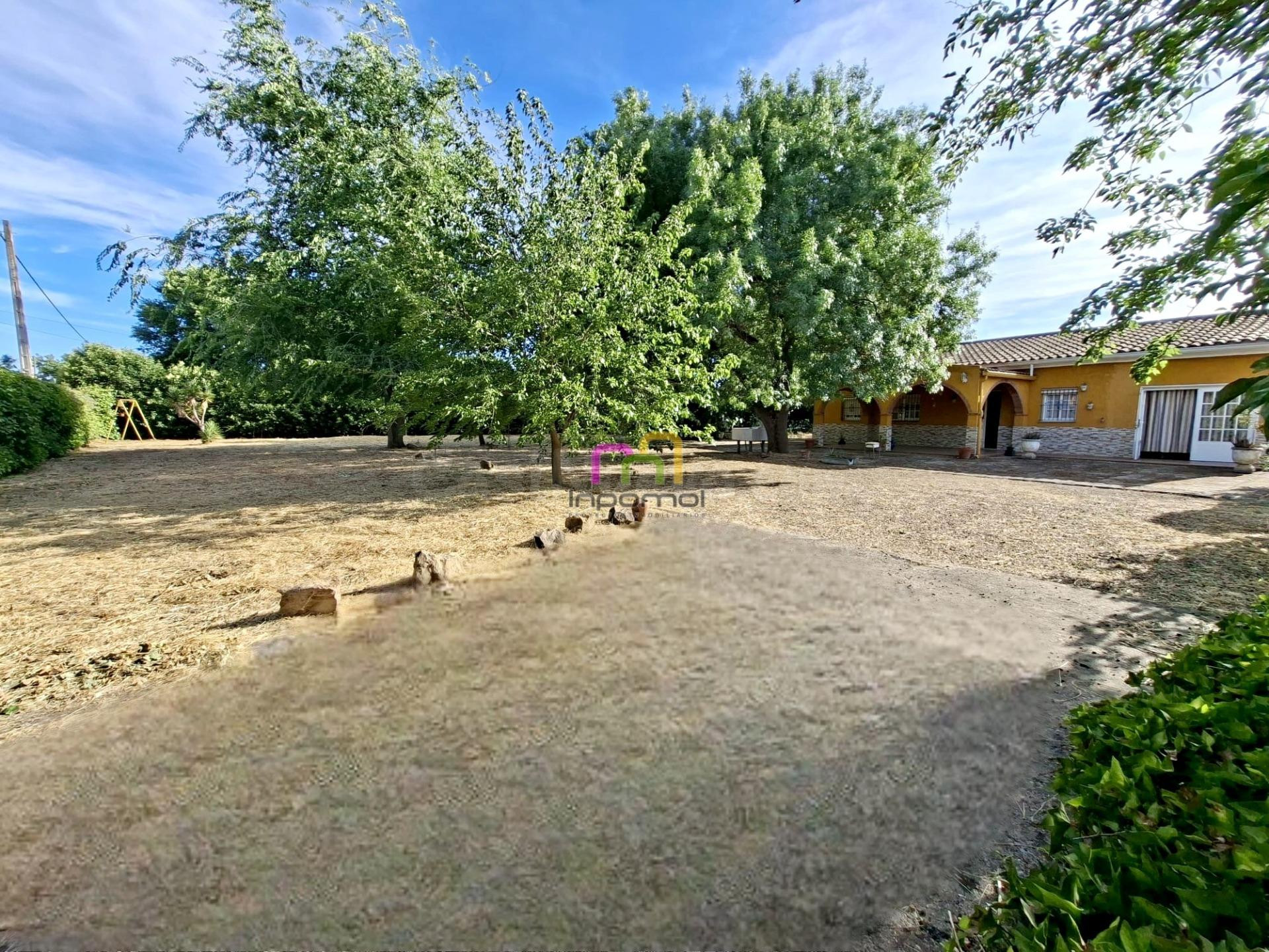 ENCANTADOR CHALET EN DEHESILLA DE CALAMON, BADAJOZ - foto 3