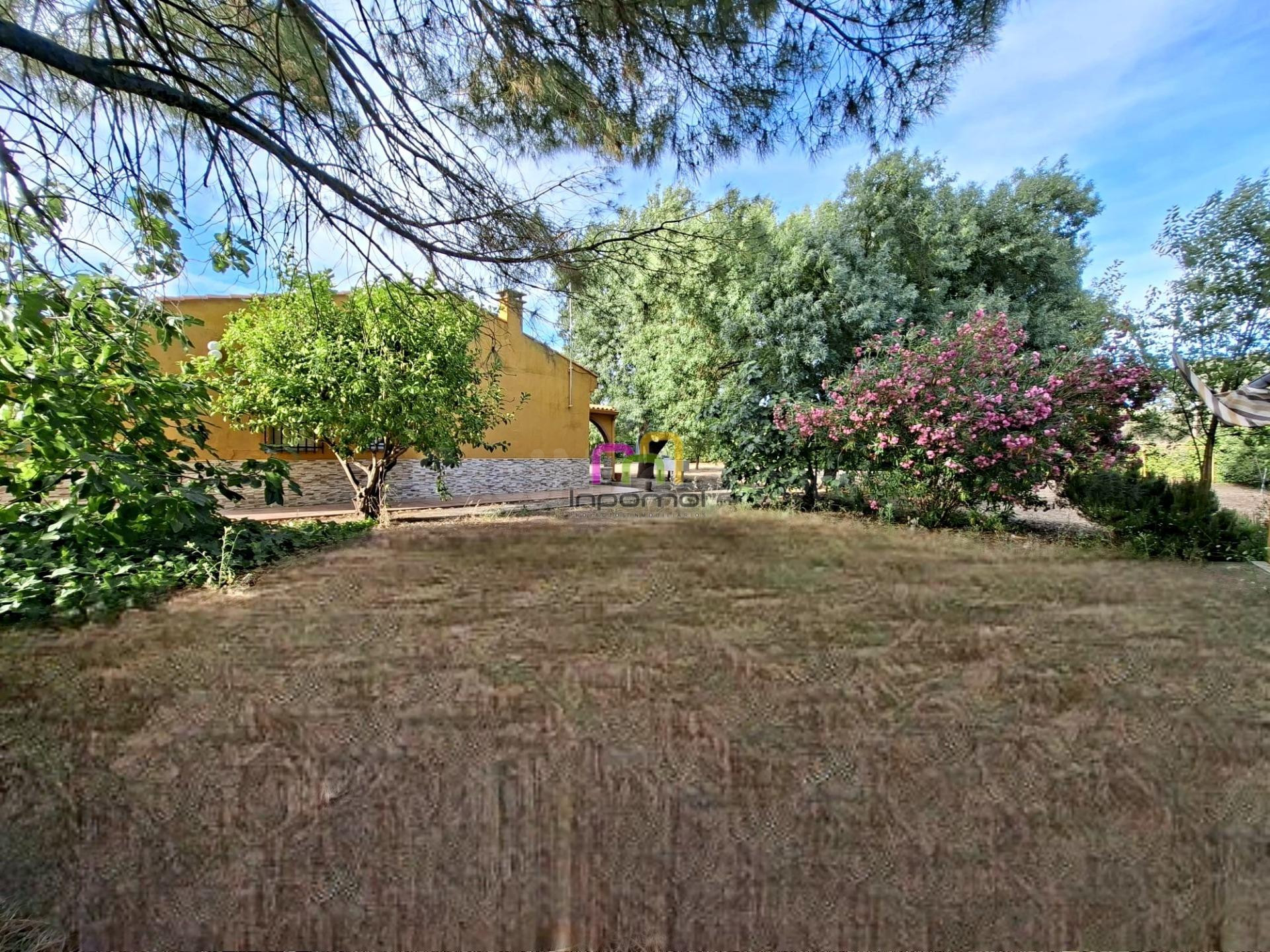 ENCANTADOR CHALET EN DEHESILLA DE CALAMON, BADAJOZ - foto 4