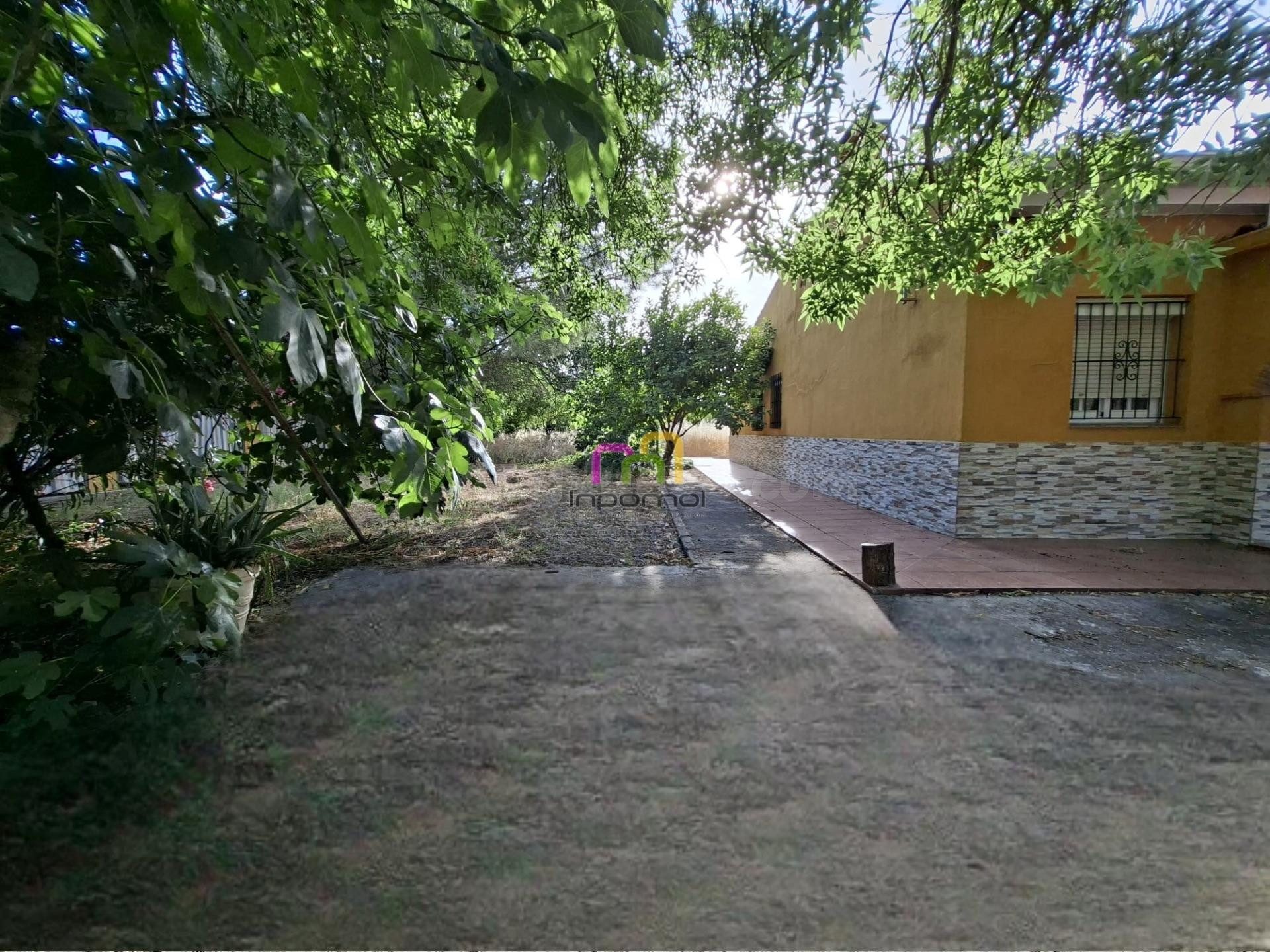 ENCANTADOR CHALET EN DEHESILLA DE CALAMON, BADAJOZ - foto 5