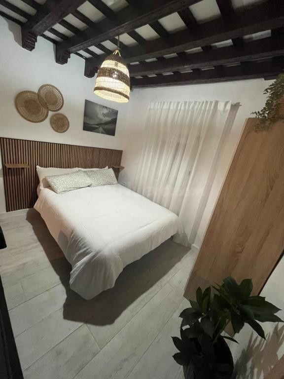 Oportunidad Única en el Corazón de Jerez: Propiedad con Licencia Turística ✨ - foto 3