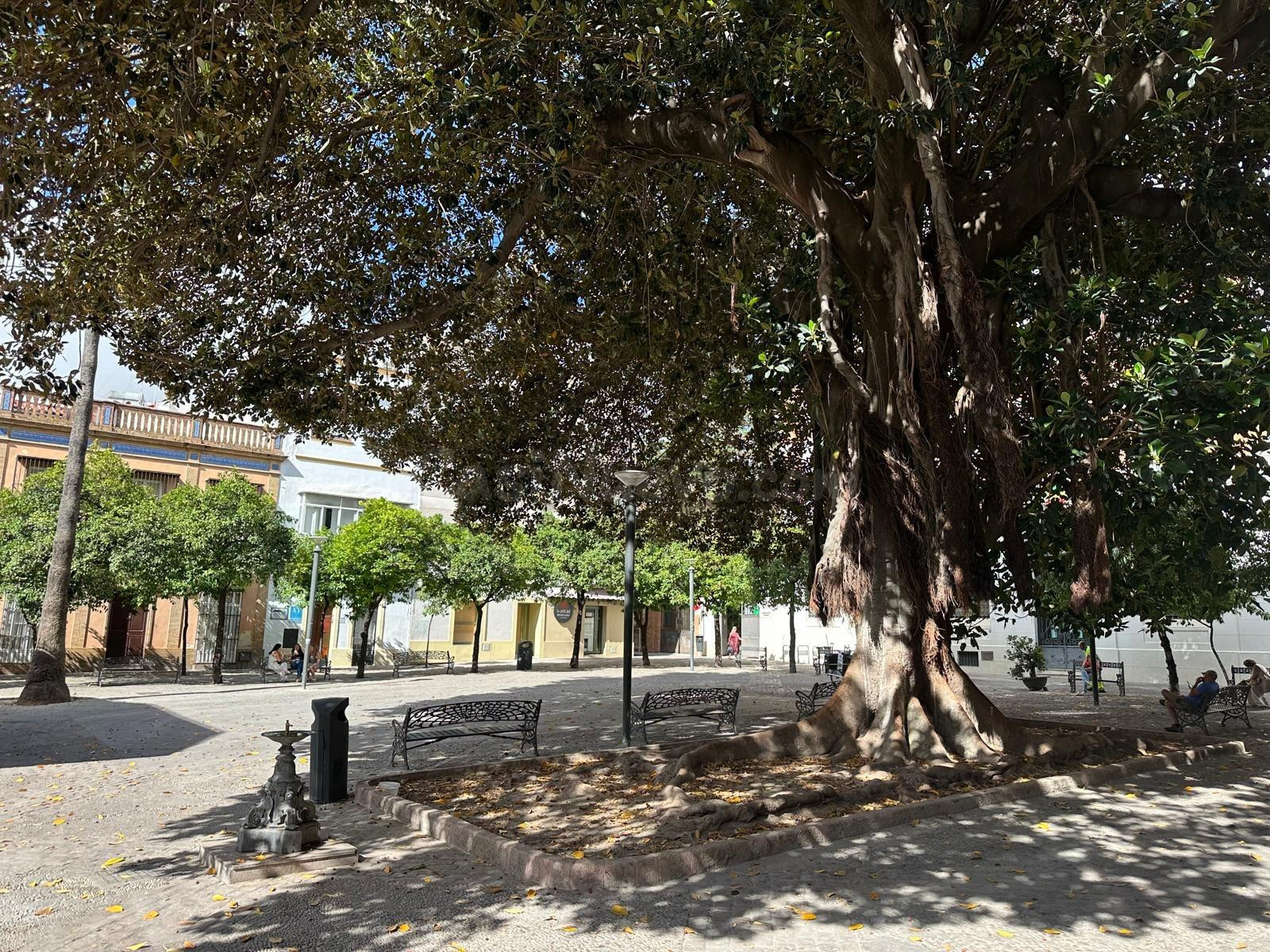 Oportunidad Única en Jerez: Casa con Nuda Propiedad - foto 2