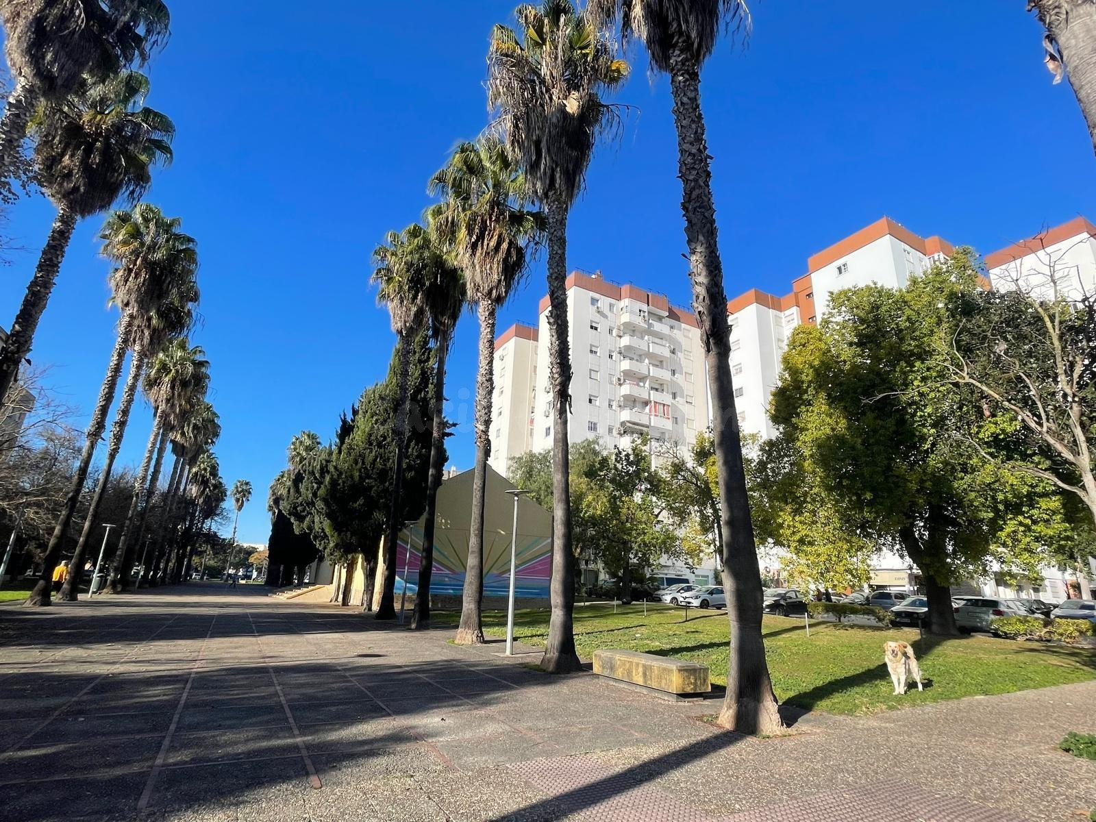 SE VENDE LOCAL COMERCIAL