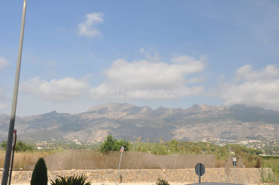ALTEA - LOCAL COMERCIAL TOTALMENTE EQUIPADO - foto 5