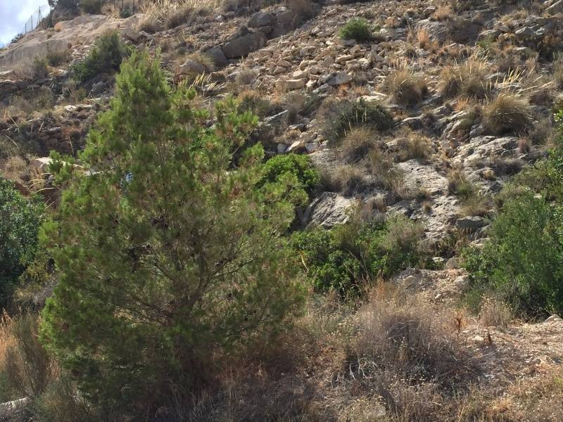 Se vende parcela urbana en Sierra Cortina - foto 3