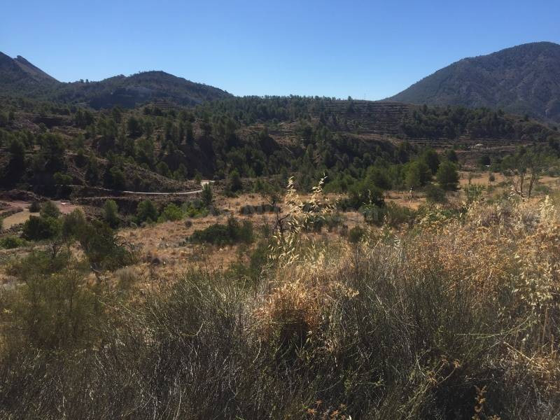 Terreno rural en venta - OTRAS - foto 2