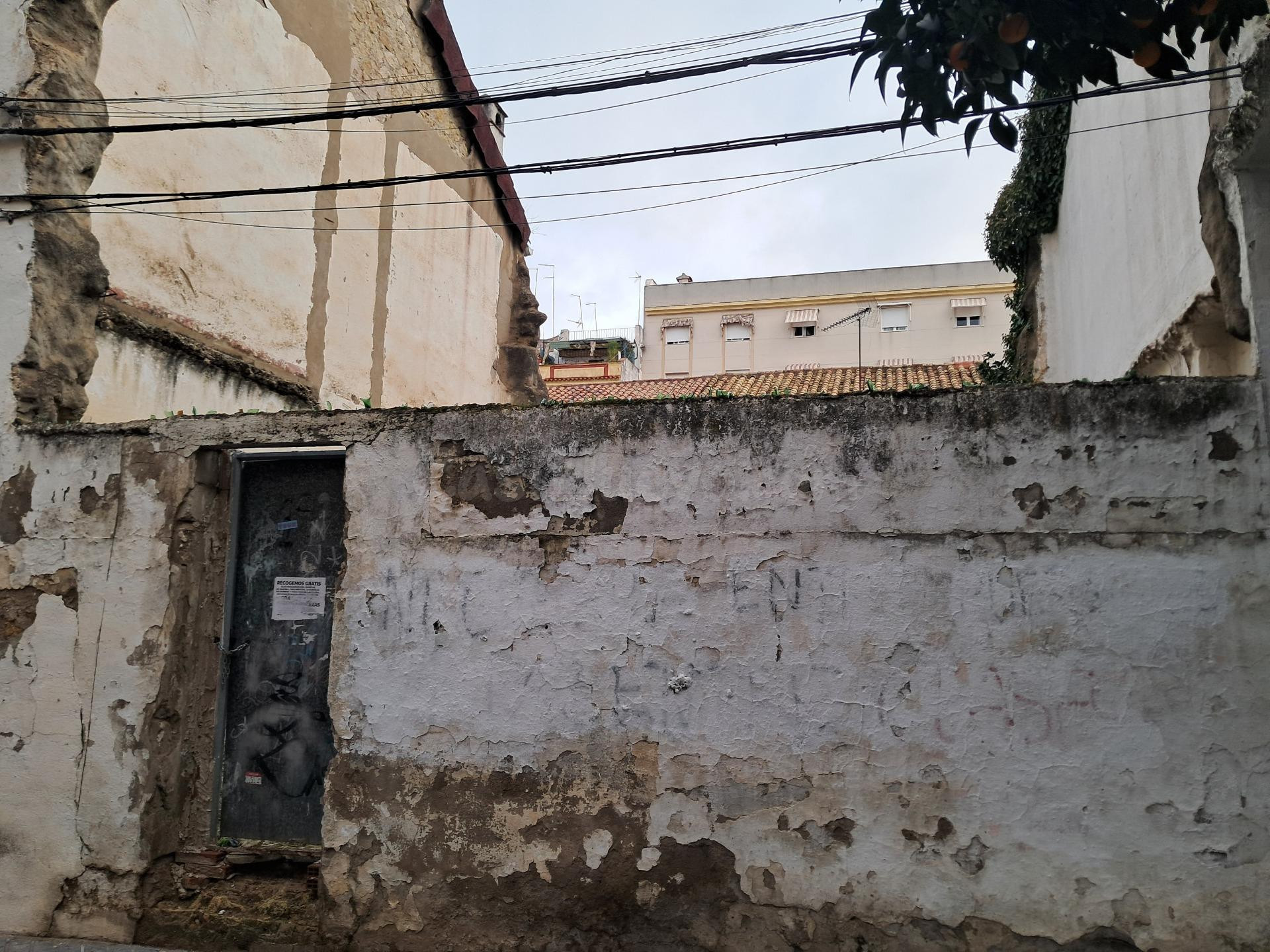 SE VENDE MAGNIFICO SOLAR EN CIUDAD JARDIN - foto 2