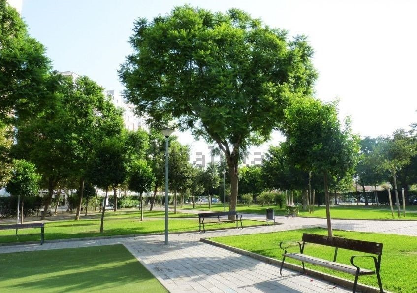 PISO SEMINUEVO CON PLAZA DE GARAJE Y PISCINA CLIMATIZADA - foto 4