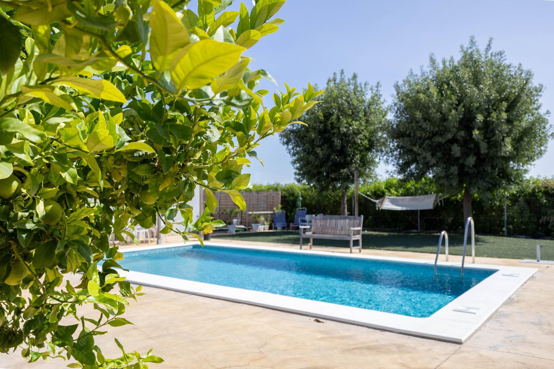 EXCLUSIVA! Chalet independiente . 3 dormitorios , 2 baños , piscina , pista de baloncesto /tenis y garaje en parcela de 21.000m2 . Jerez de la Frontera