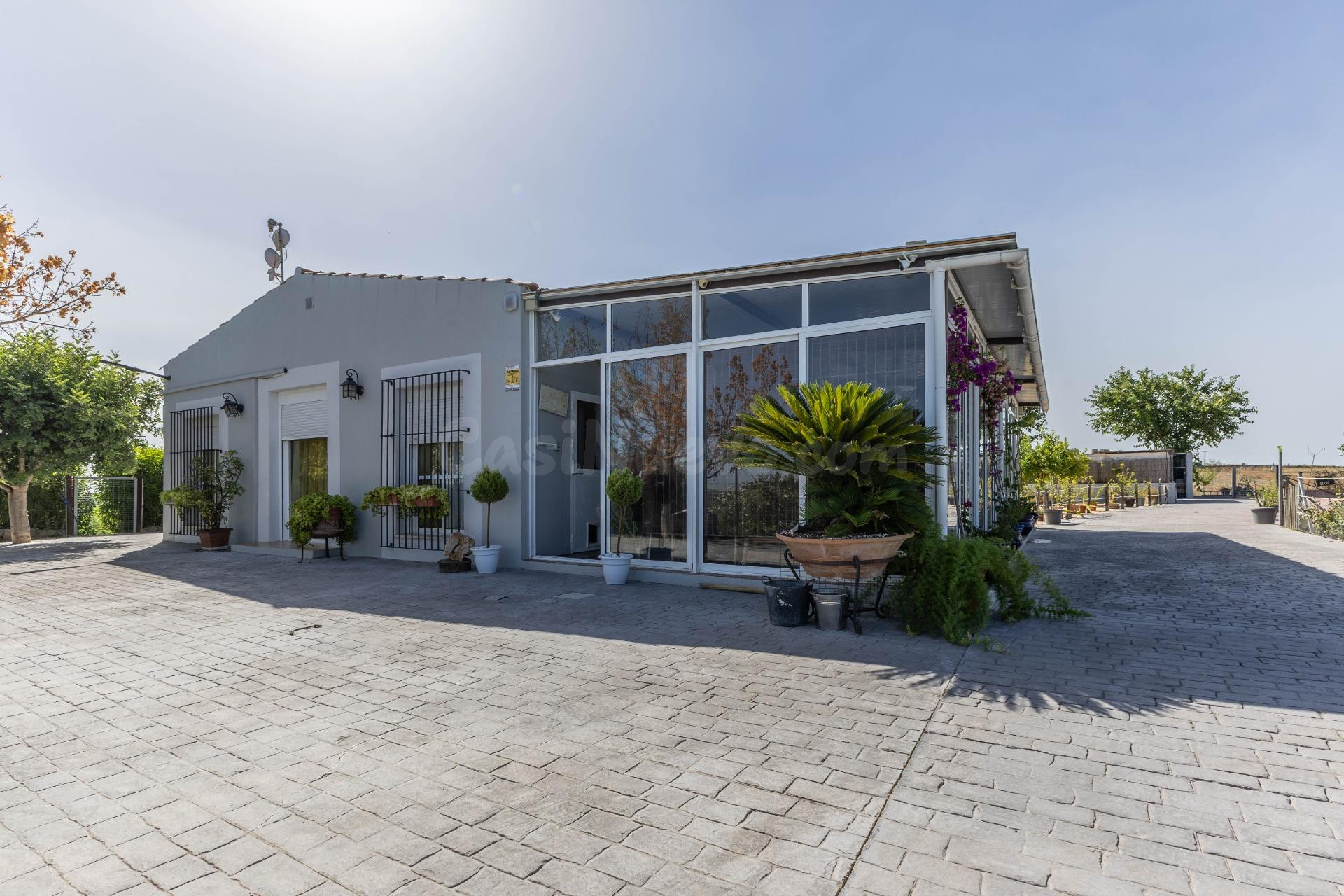 EXCLUSIVA! Chalet independiente . 3 dormitorios , 2 baños , piscina , pista de baloncesto /tenis y garaje en parcela de 21.000m2 . Jerez de la Frontera - foto 4