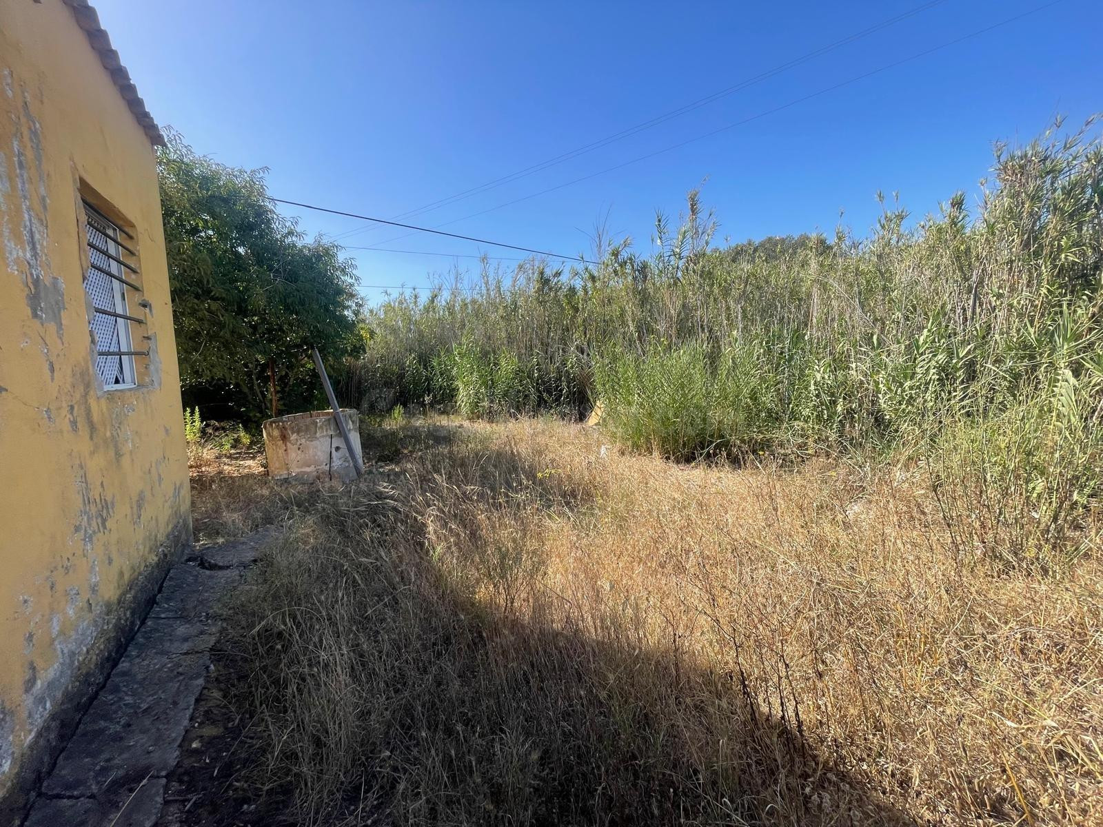 Parcela Rústica con Casa junto a Playa de Punta Candor, Rota - foto 3