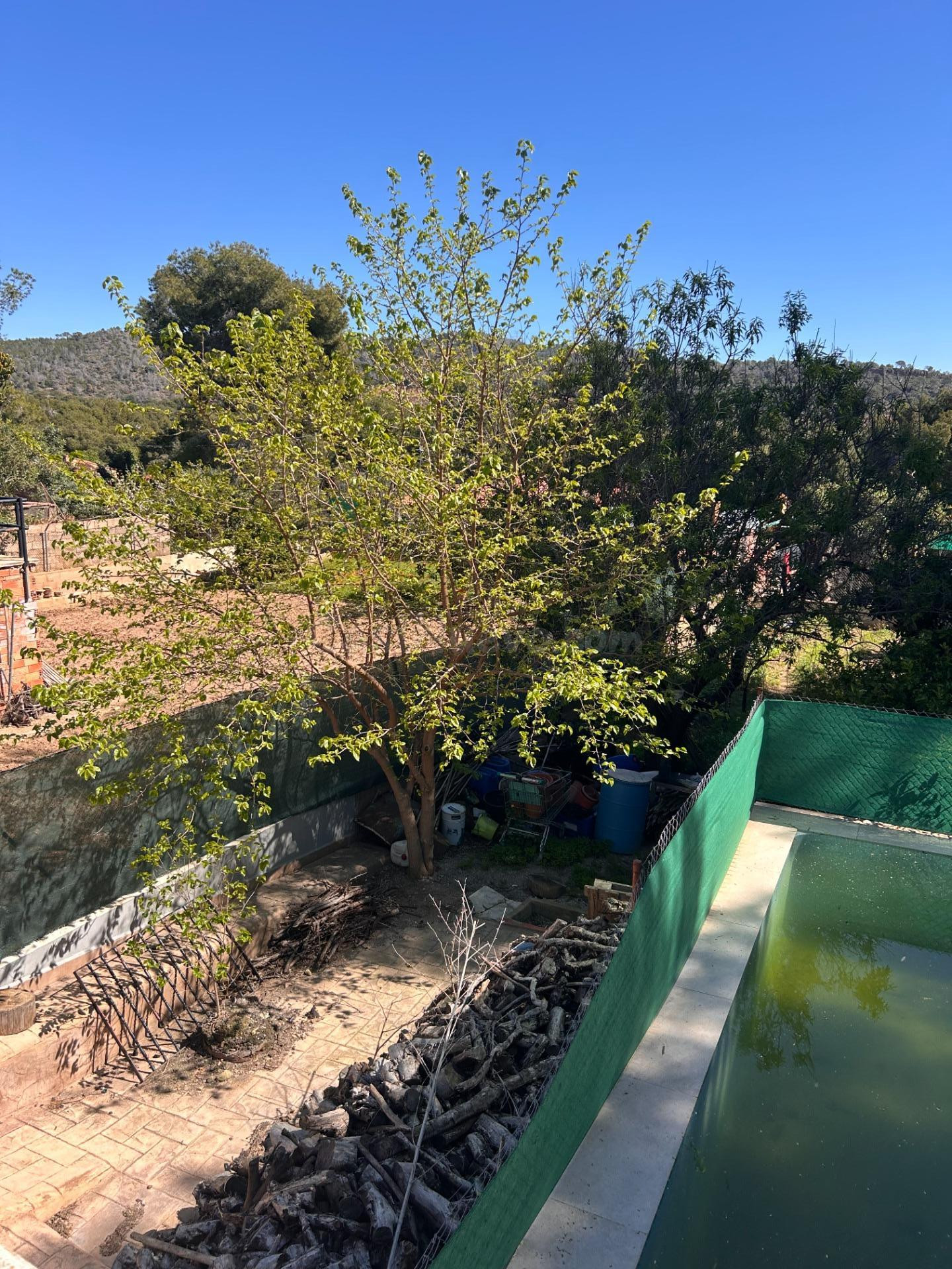 REF. 8681 SALICO OFRECE CHALET EN SIERRA CALDERONA - foto 5