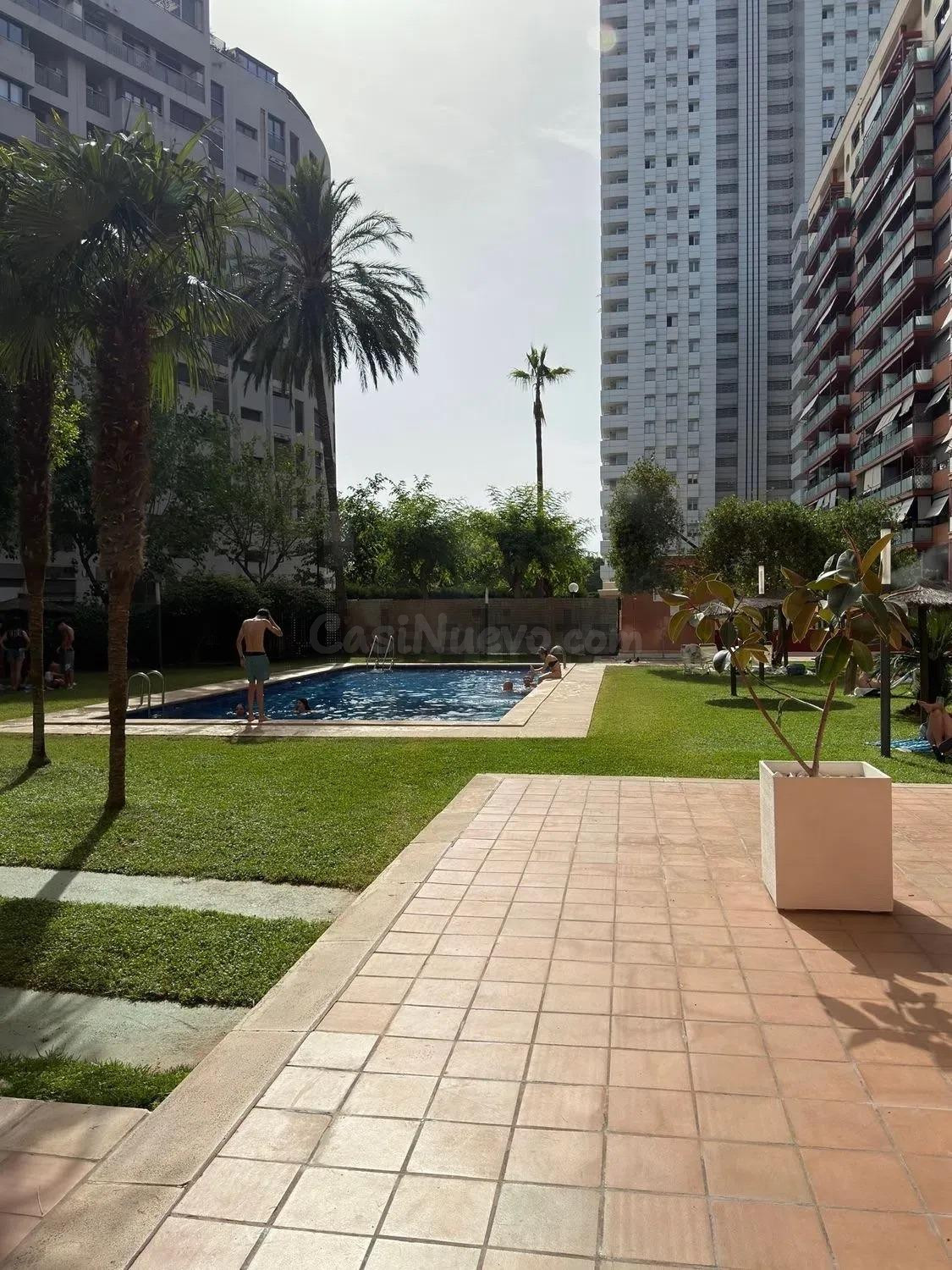 Ref. 08696 SALICO OFRECE MAGNIFICO ATICO DUPLEX EN AVENIDA F - foto 2