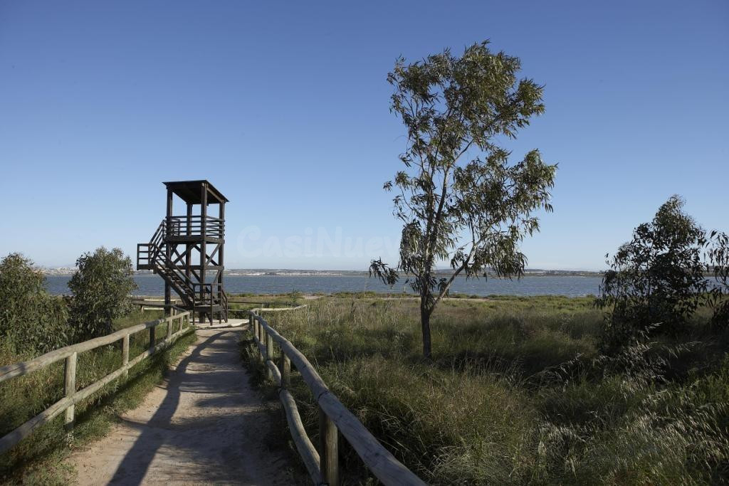 Nueva Promoción en Torrevieja, a 1 km del Mar - foto 4