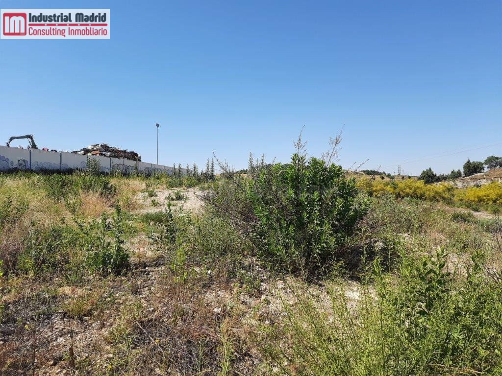 PARCELA INDUSTRIAL EN VENTA EN LOECHES.